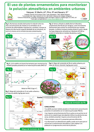 Uso plantas ornamentales