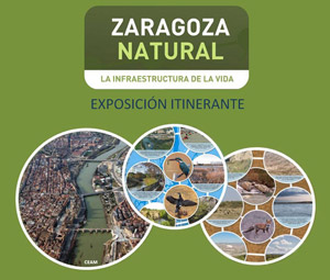 Exposici�n Itinerante