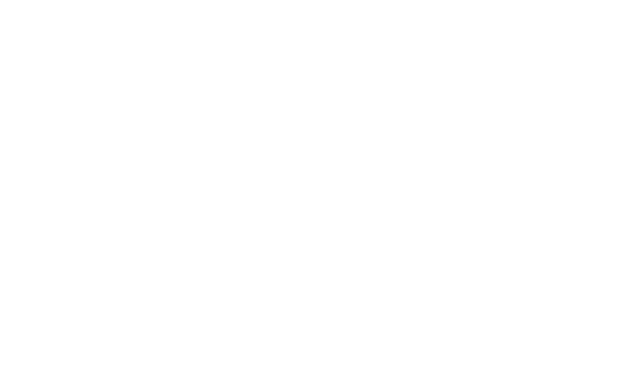 Logo Zero emissions Zaragoza 2030
