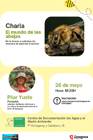 Imagen del evento