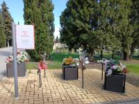 Flores para mi madre