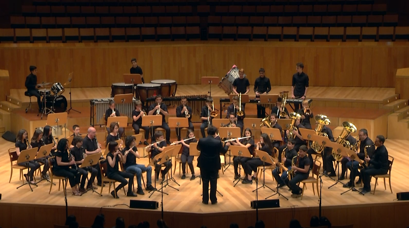 Conciertos didácticos de música clásica