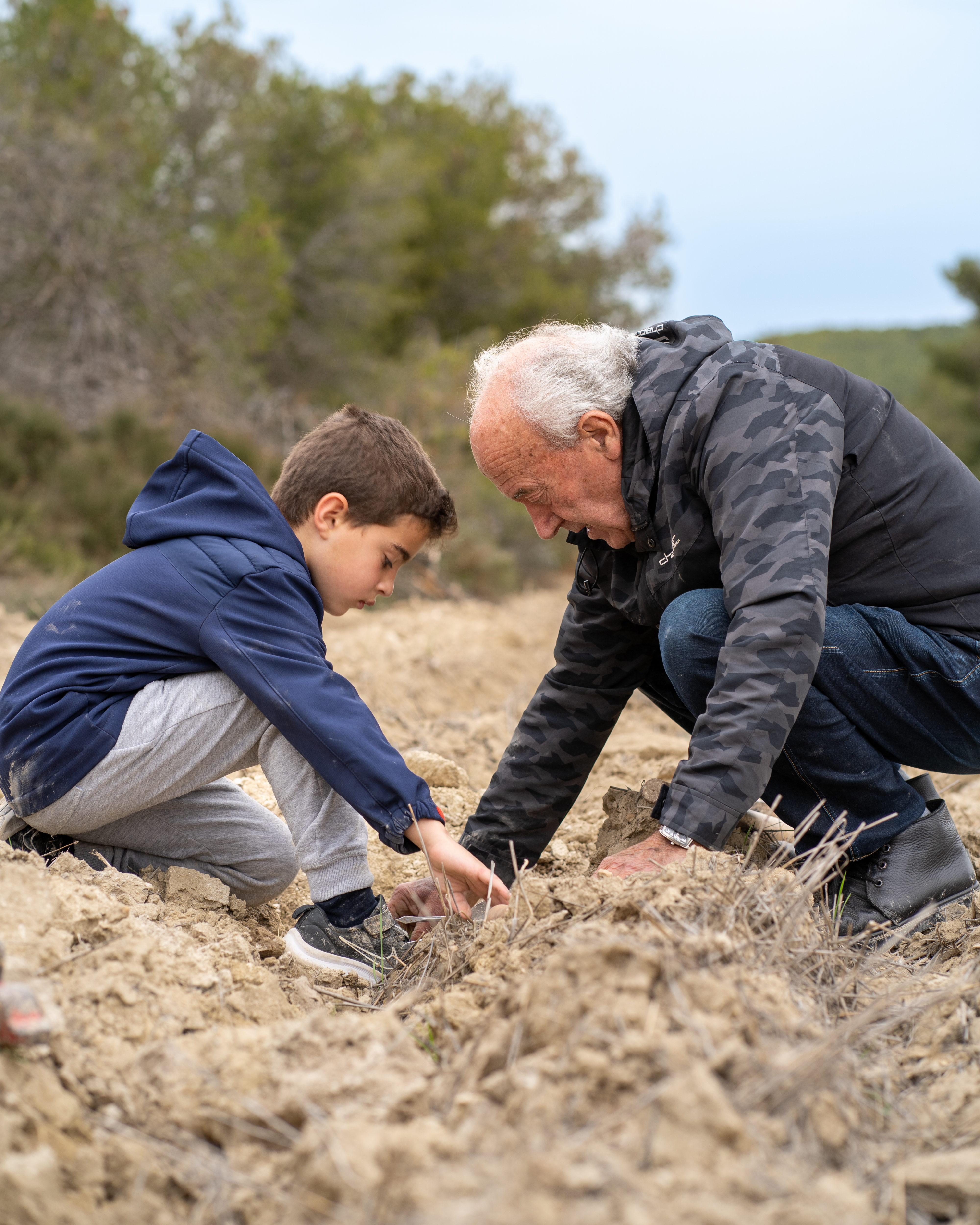 Servicios Ecosistémicos