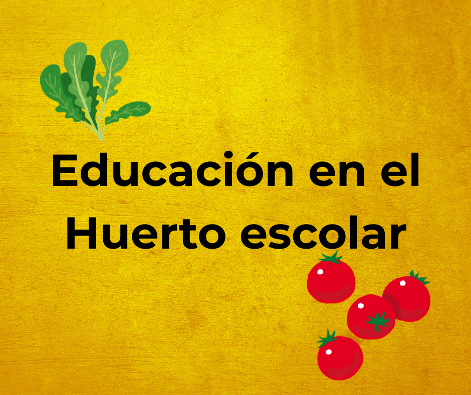 Portada de la publicaci?n