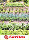 Taller de huerta-Cáritas