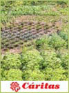 Características huerta-Cáritas