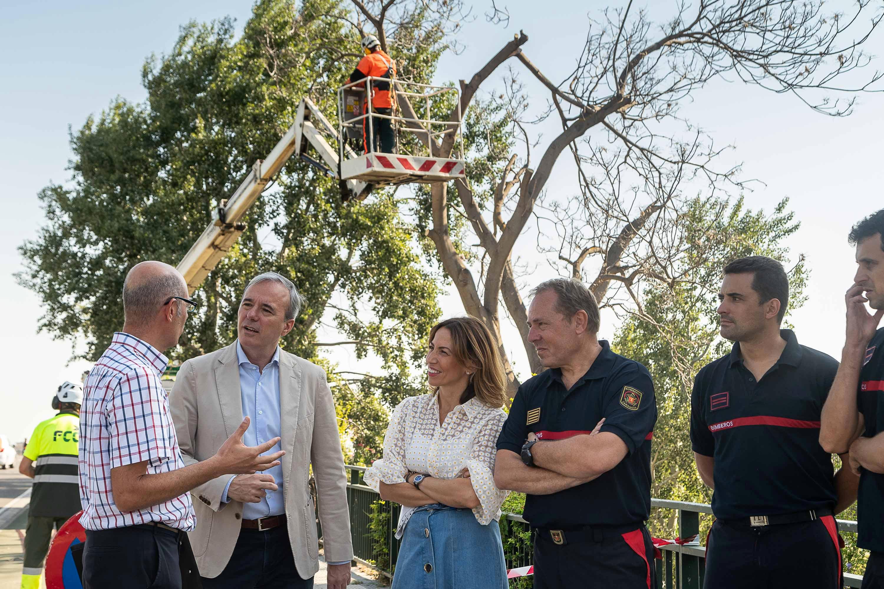 Pulsa para ver la imagen en grande