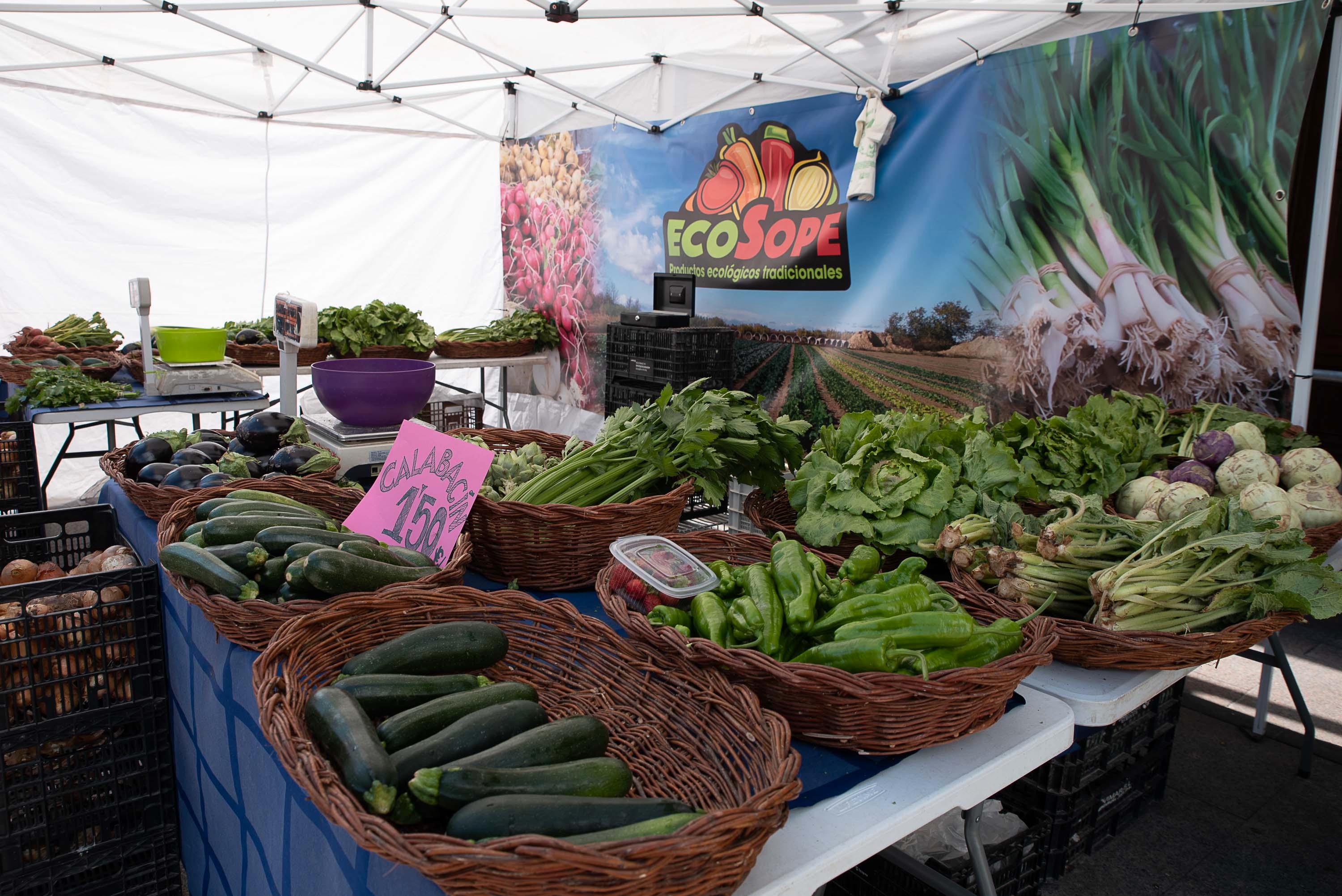 Pulsa para ver la imagen en grande