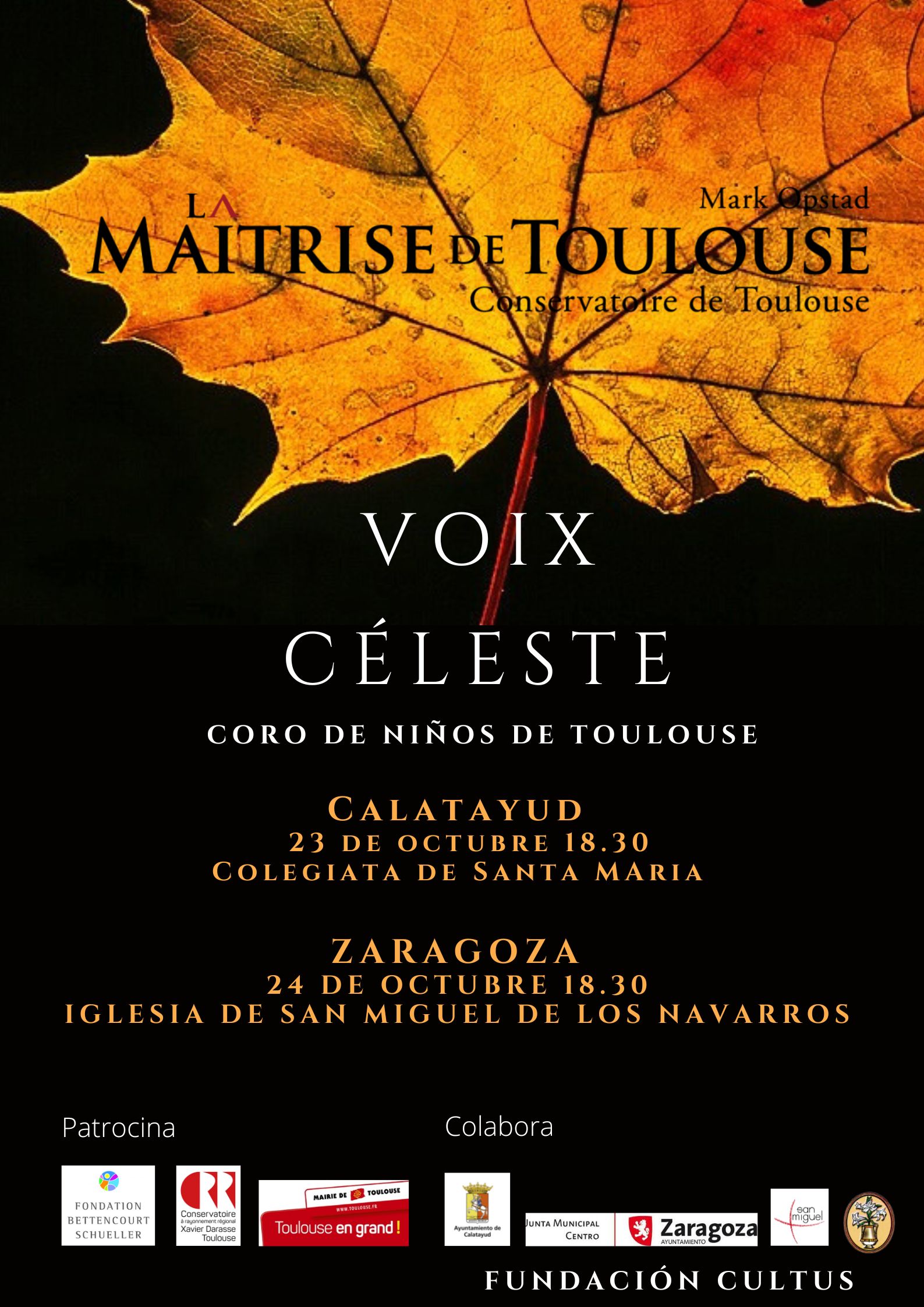 Pulsa para ver la imagen en grande