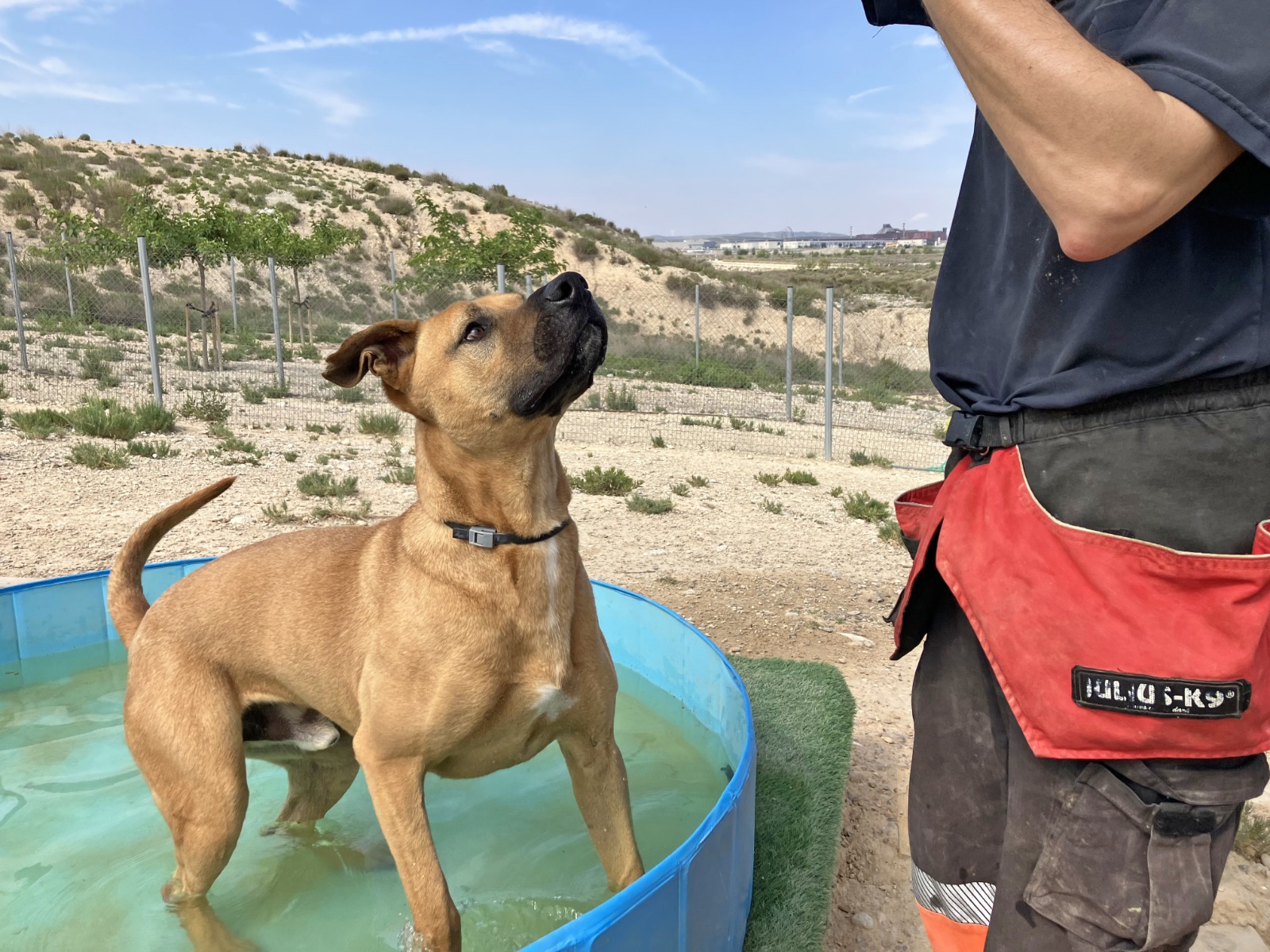 Pulsa para ver la imagen en grande