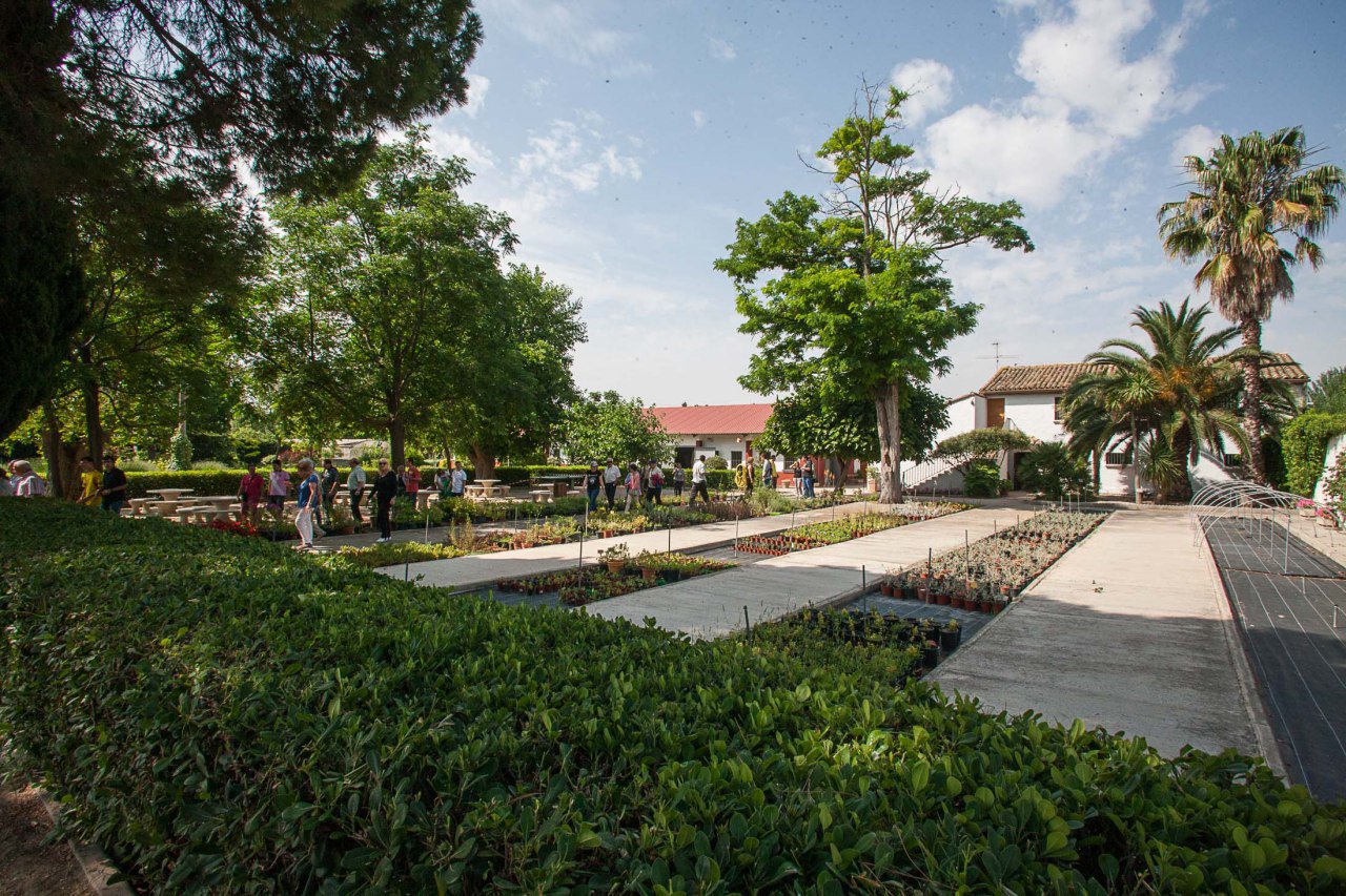 Pulsa para ver la imagen en grande