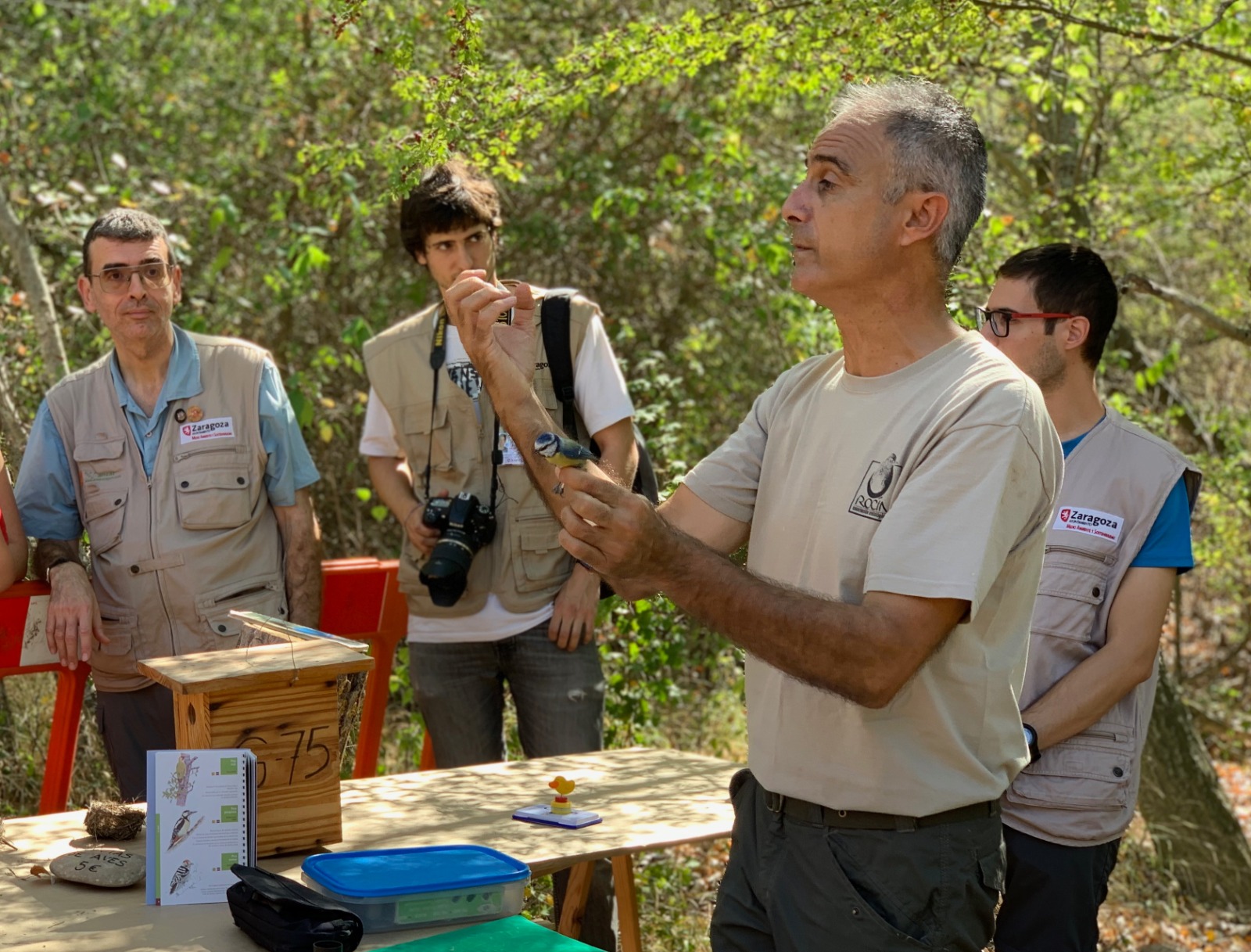 Pulsa para ver la imagen en grande