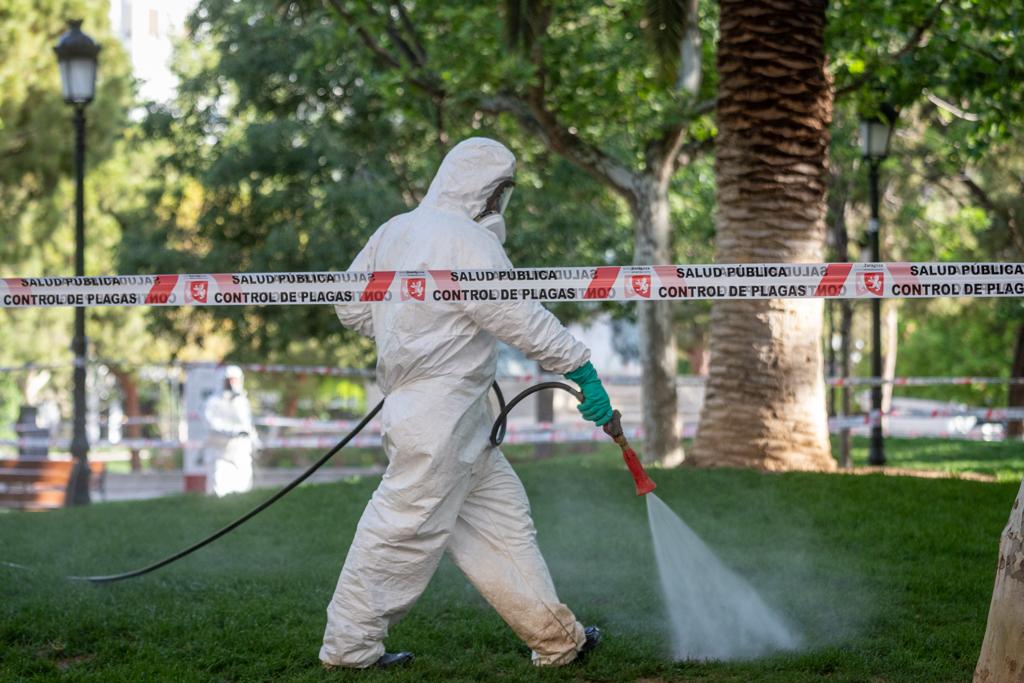 Pulsa para ver la imagen en grande