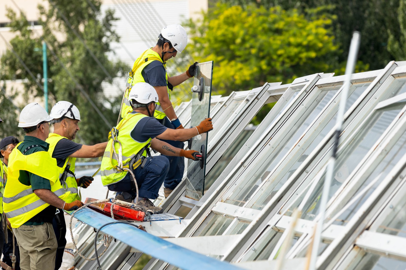 Pulsa para ver la imagen en grande