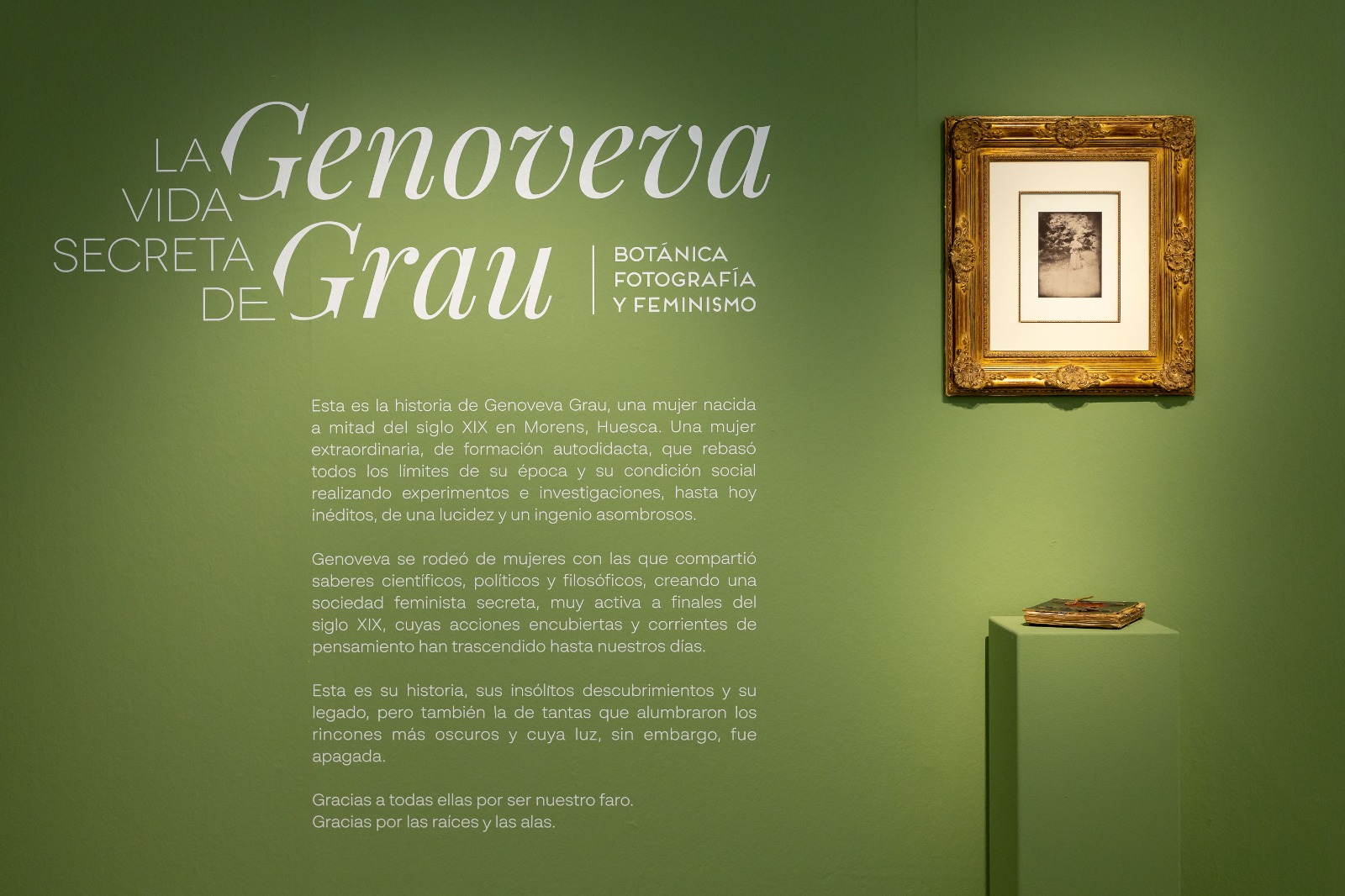 Pulsa para ver la imagen en grande