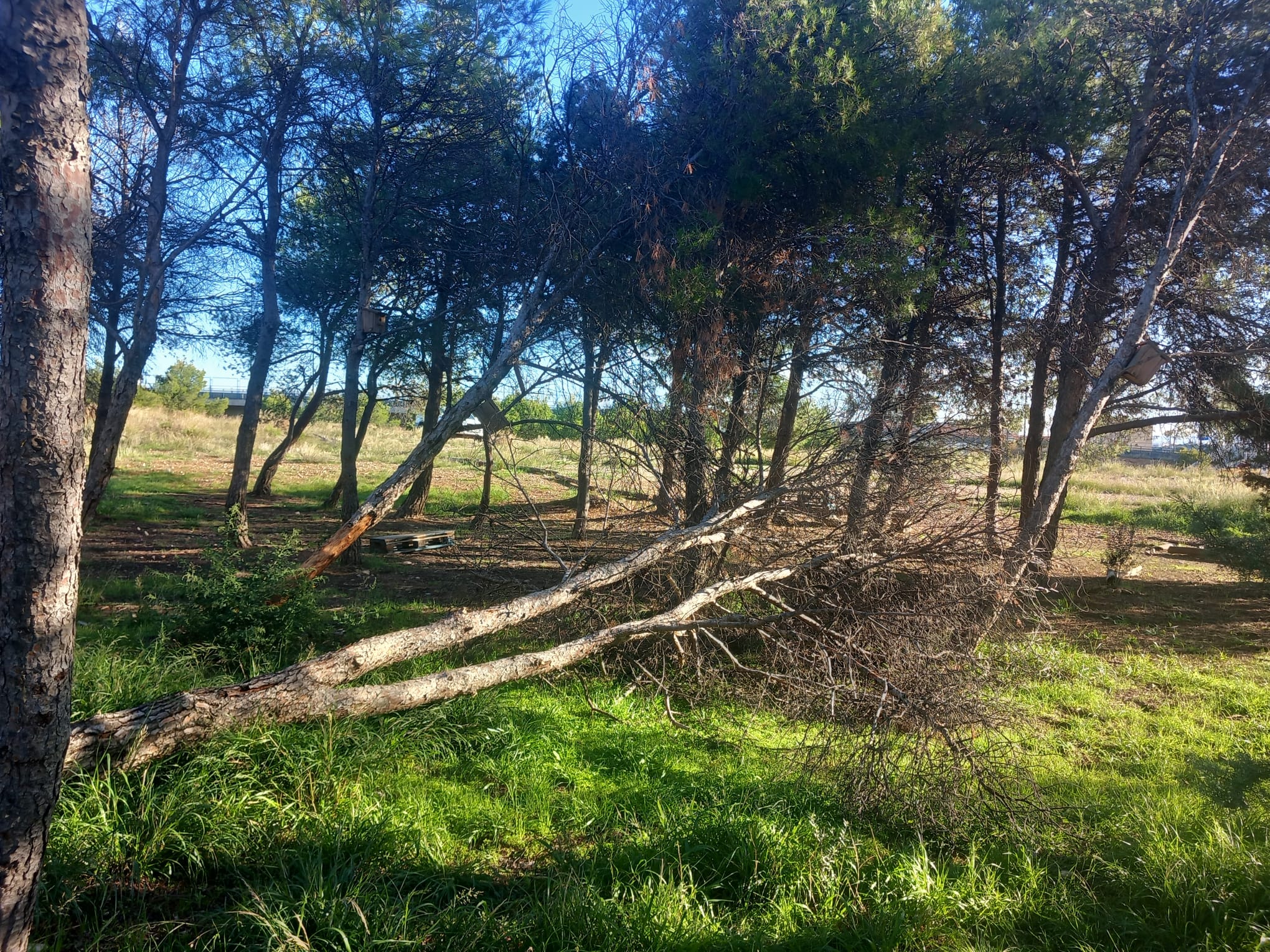 Pulsa para ver la imagen en grande