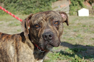 Pulsa para ver la imagen en grande