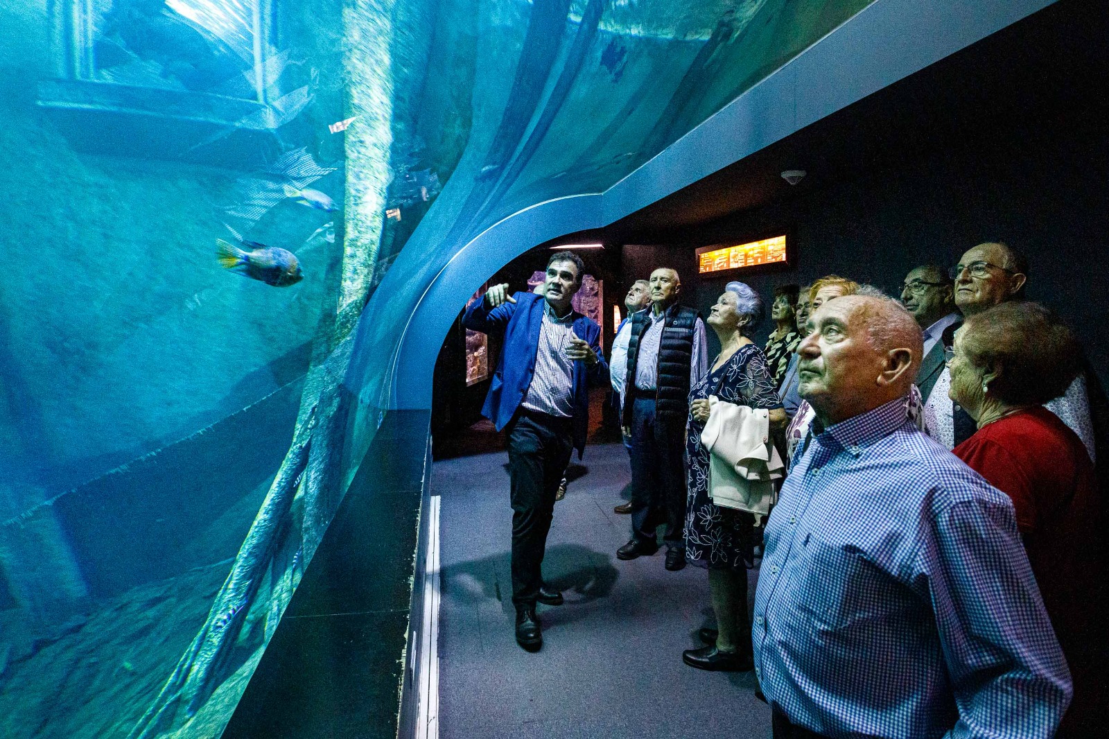 Pulsa para ver la imagen en grande