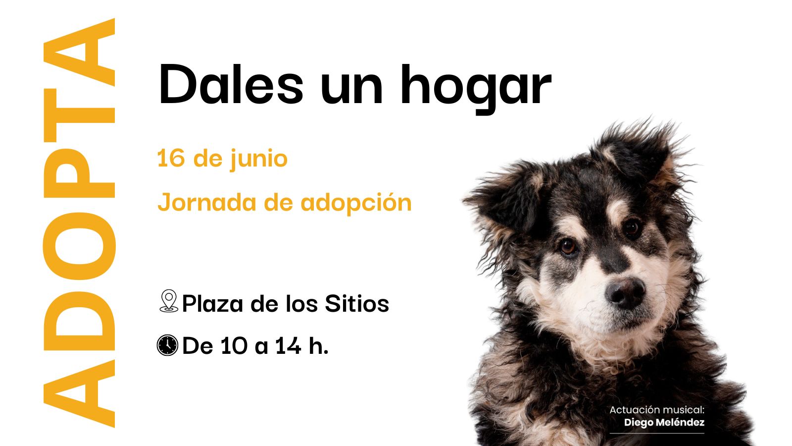 Pulsa para ver la imagen en grande