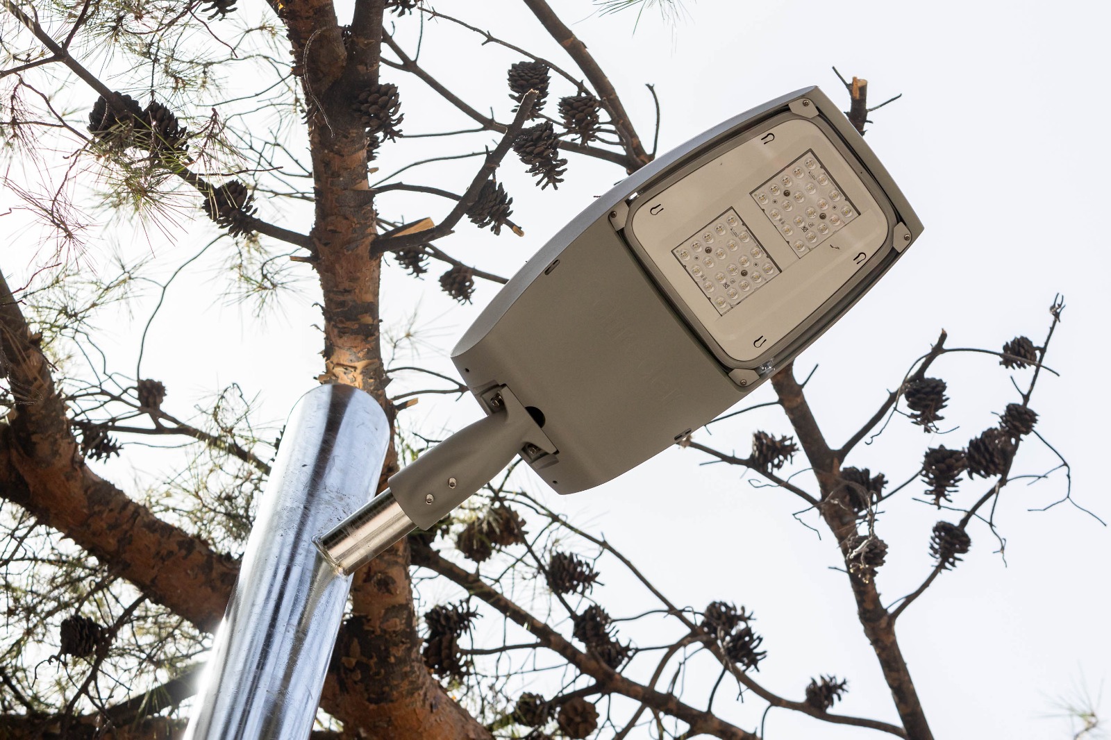 Pulsa para ver la imagen en grande