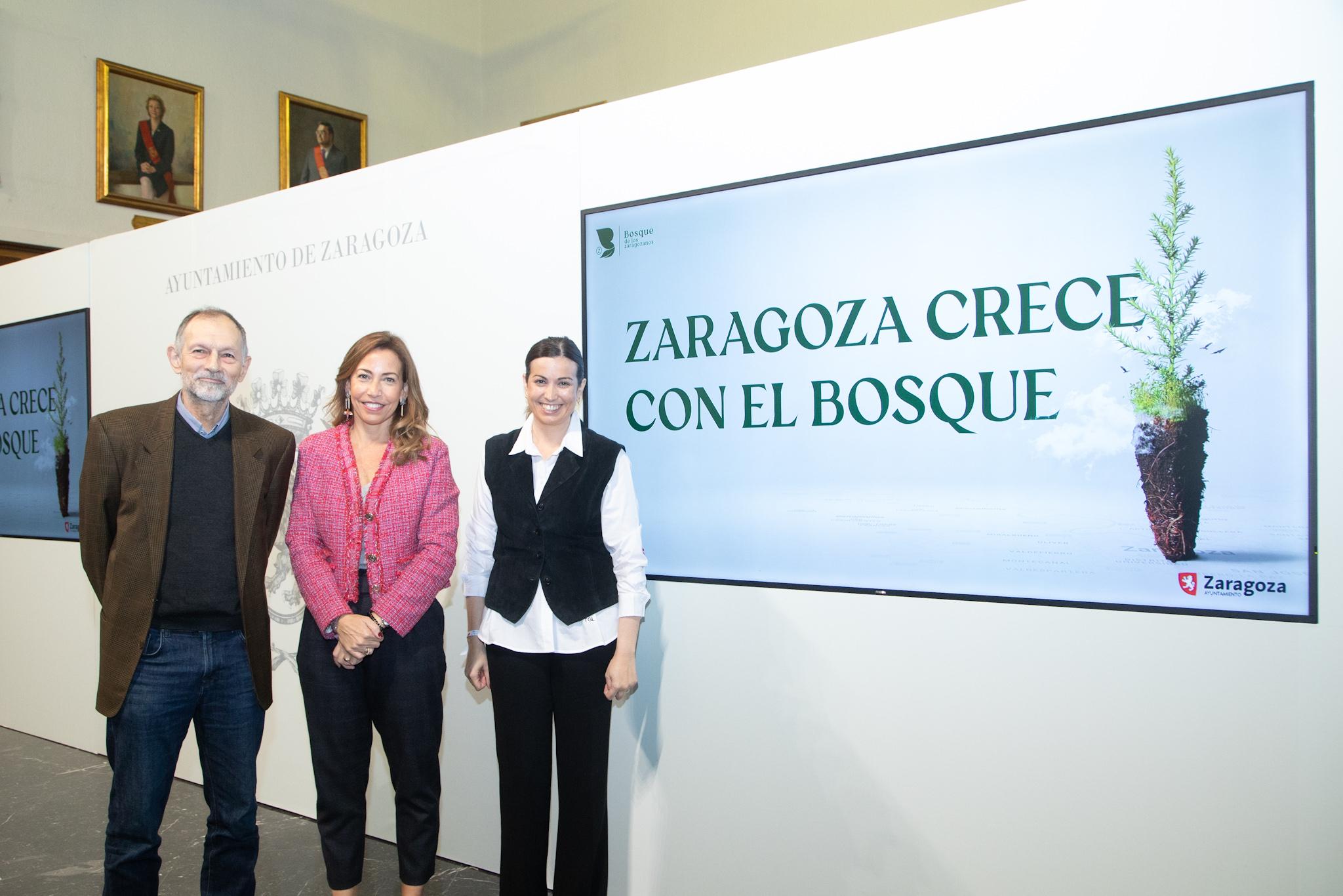 Pulsa para ver la imagen en grande