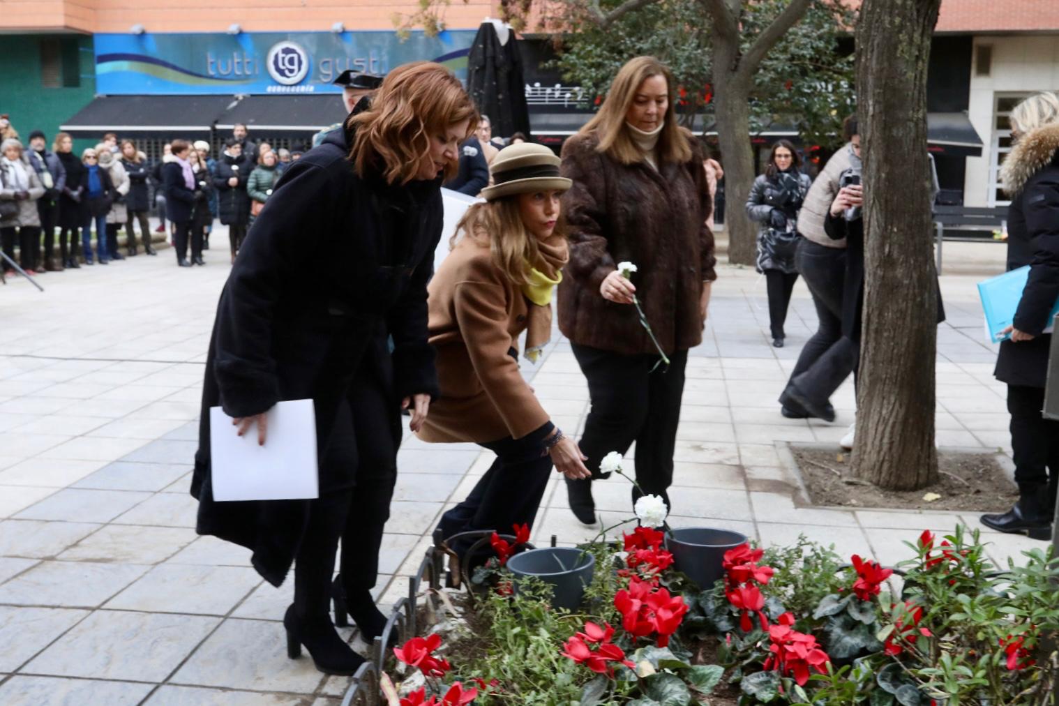 Pulsa para ver la imagen en grande