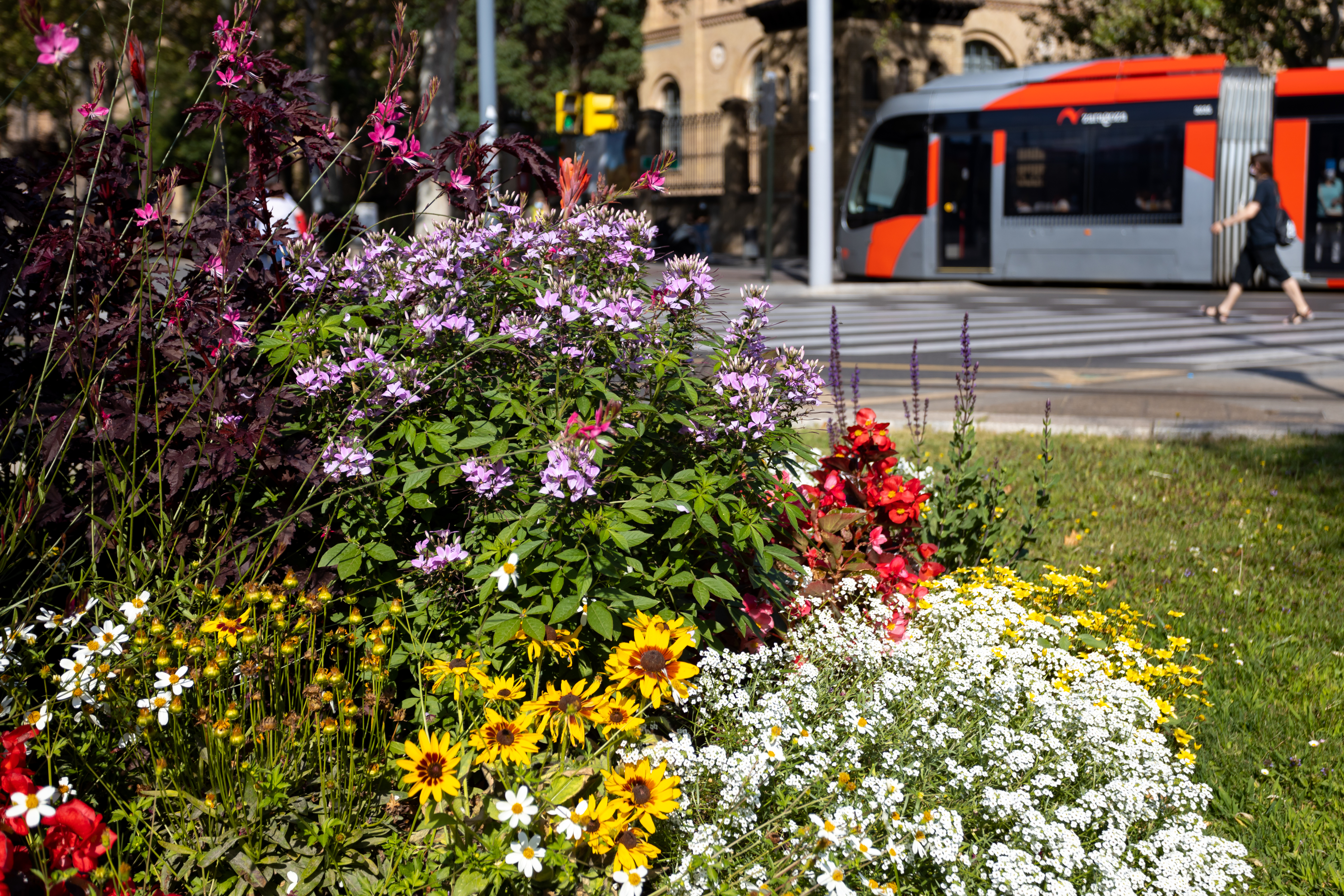 Pulsa para ver la imagen en grande