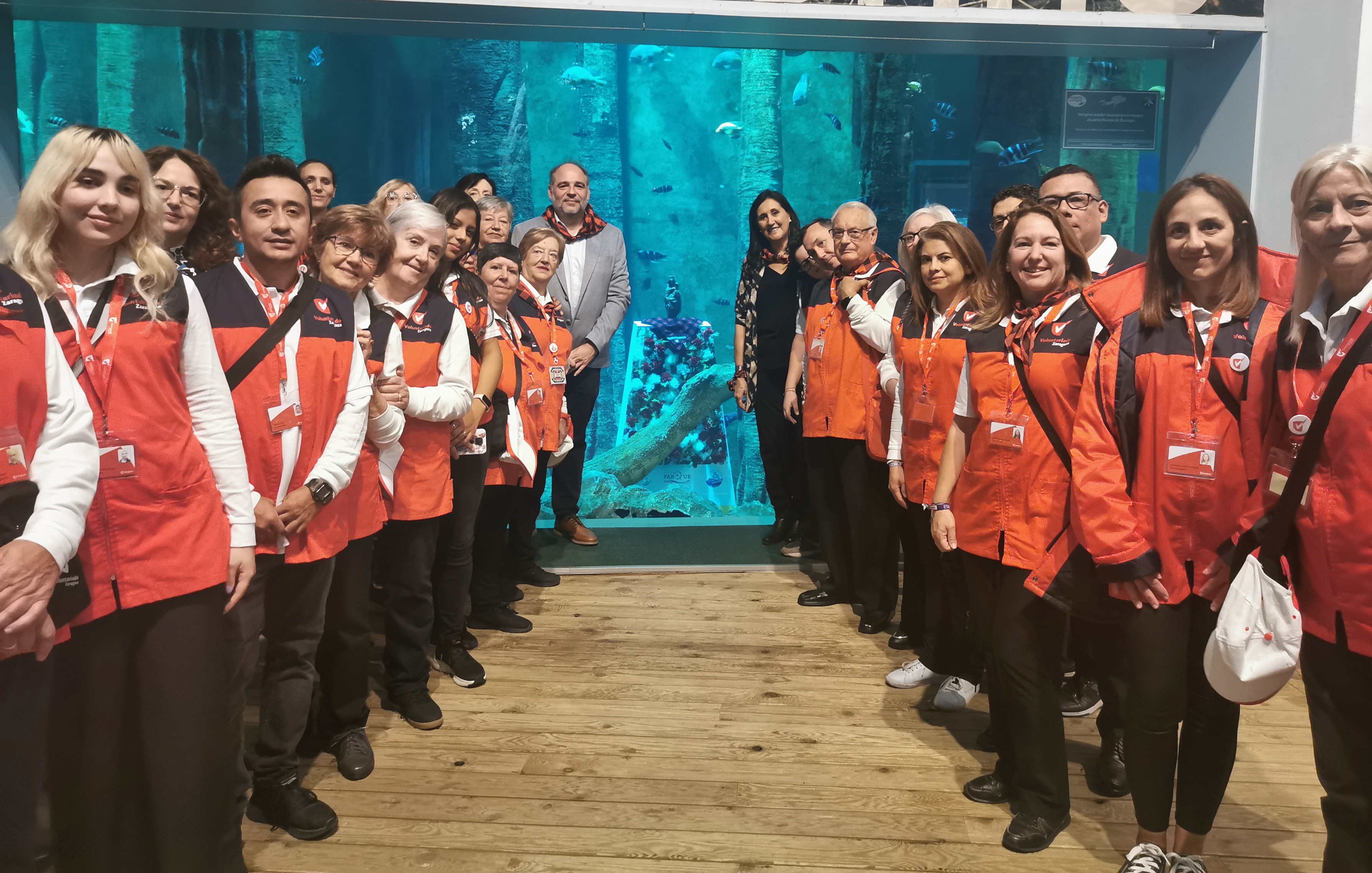 Pulsa para ver la imagen en grande