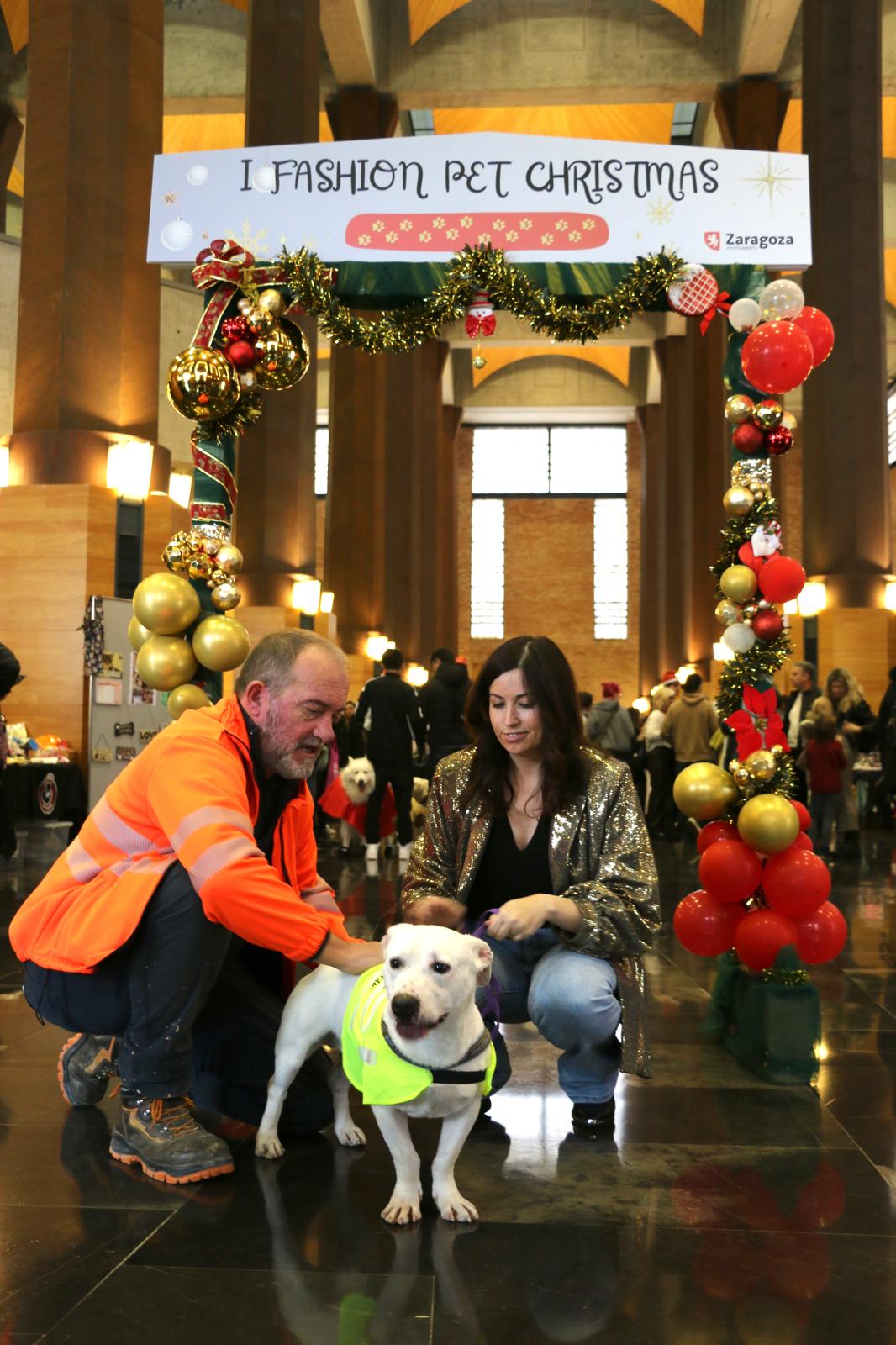 Pulsa para ver la imagen en grande