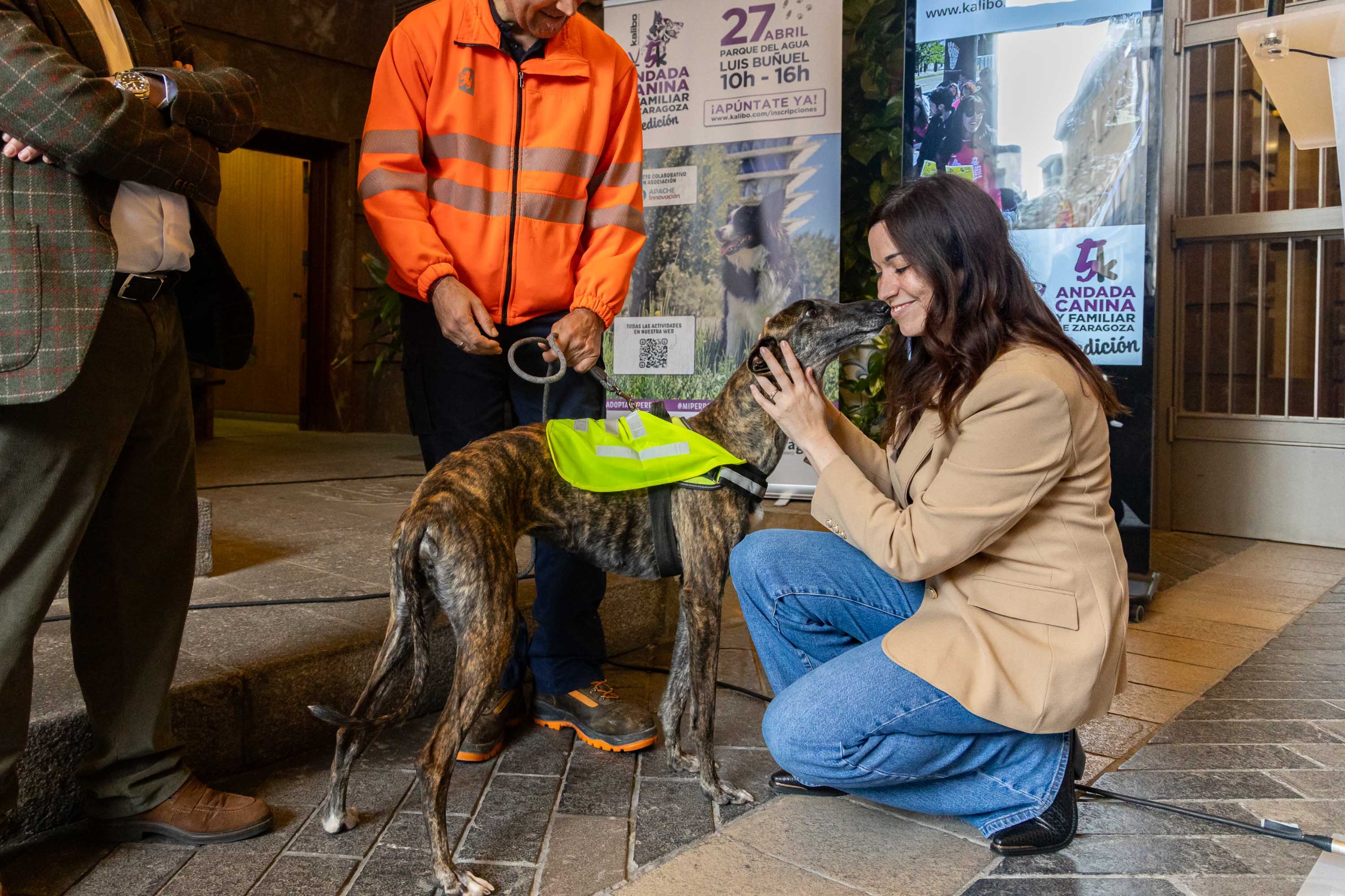 Pulsa para ver la imagen en grande