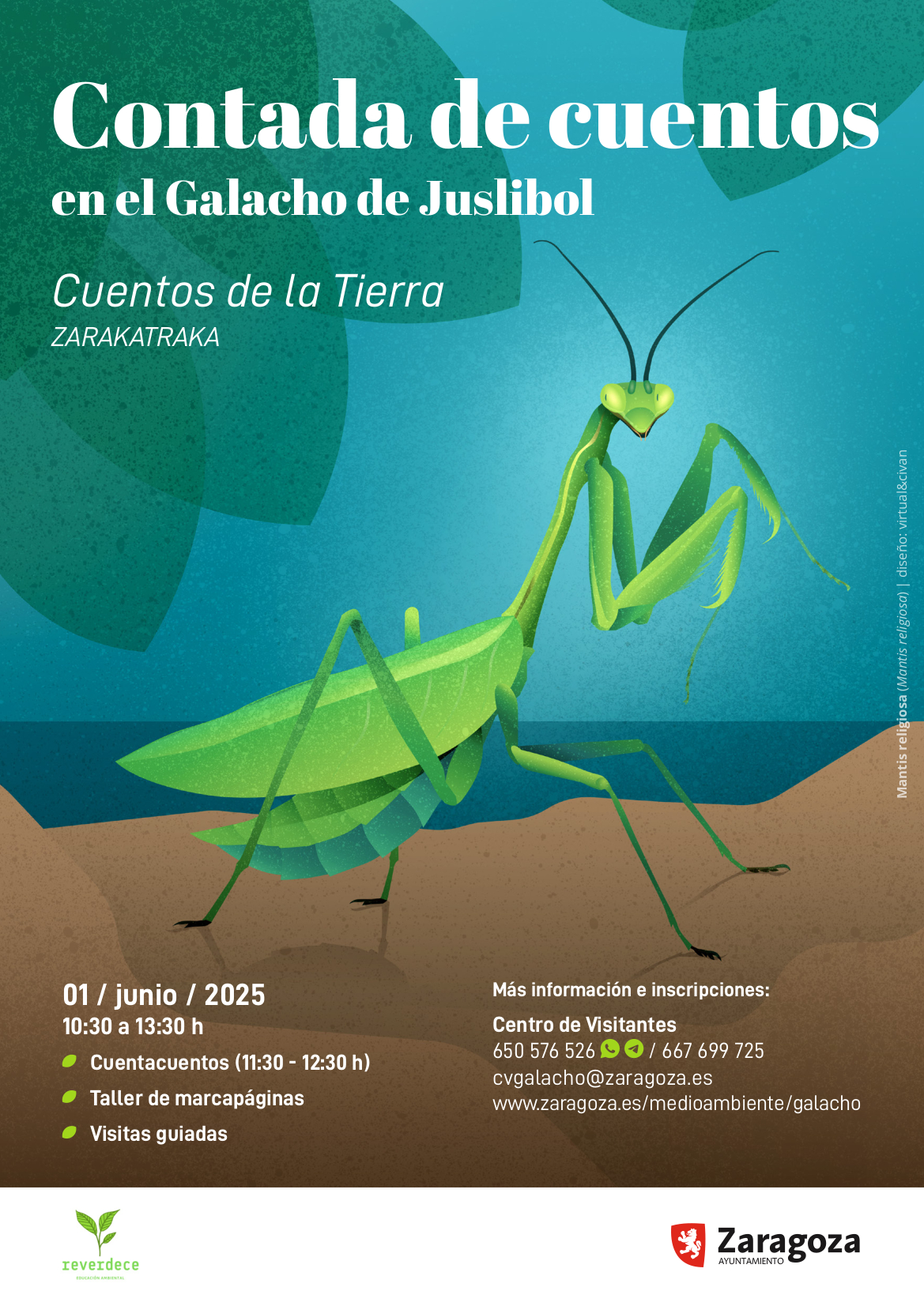 Pulsa para ver la imagen en grande