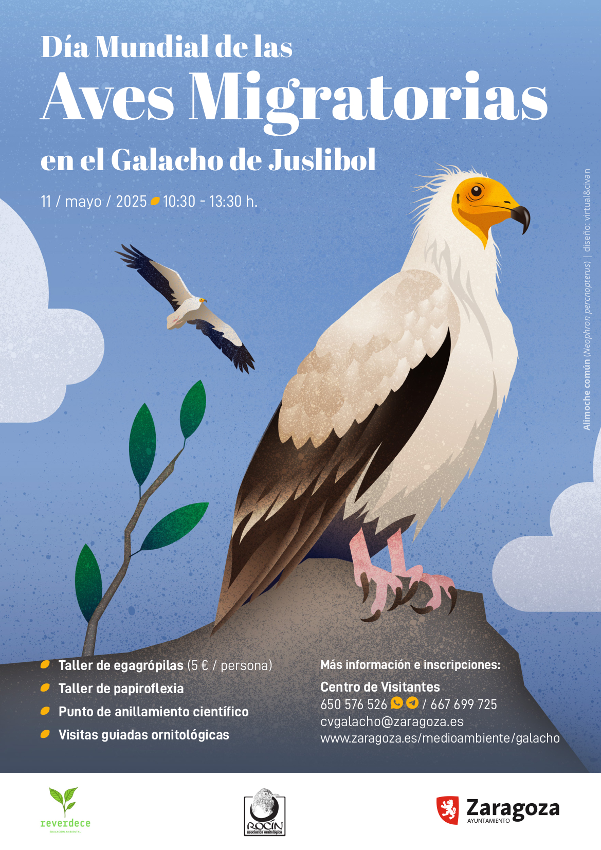 Pulsa para ver la imagen en grande