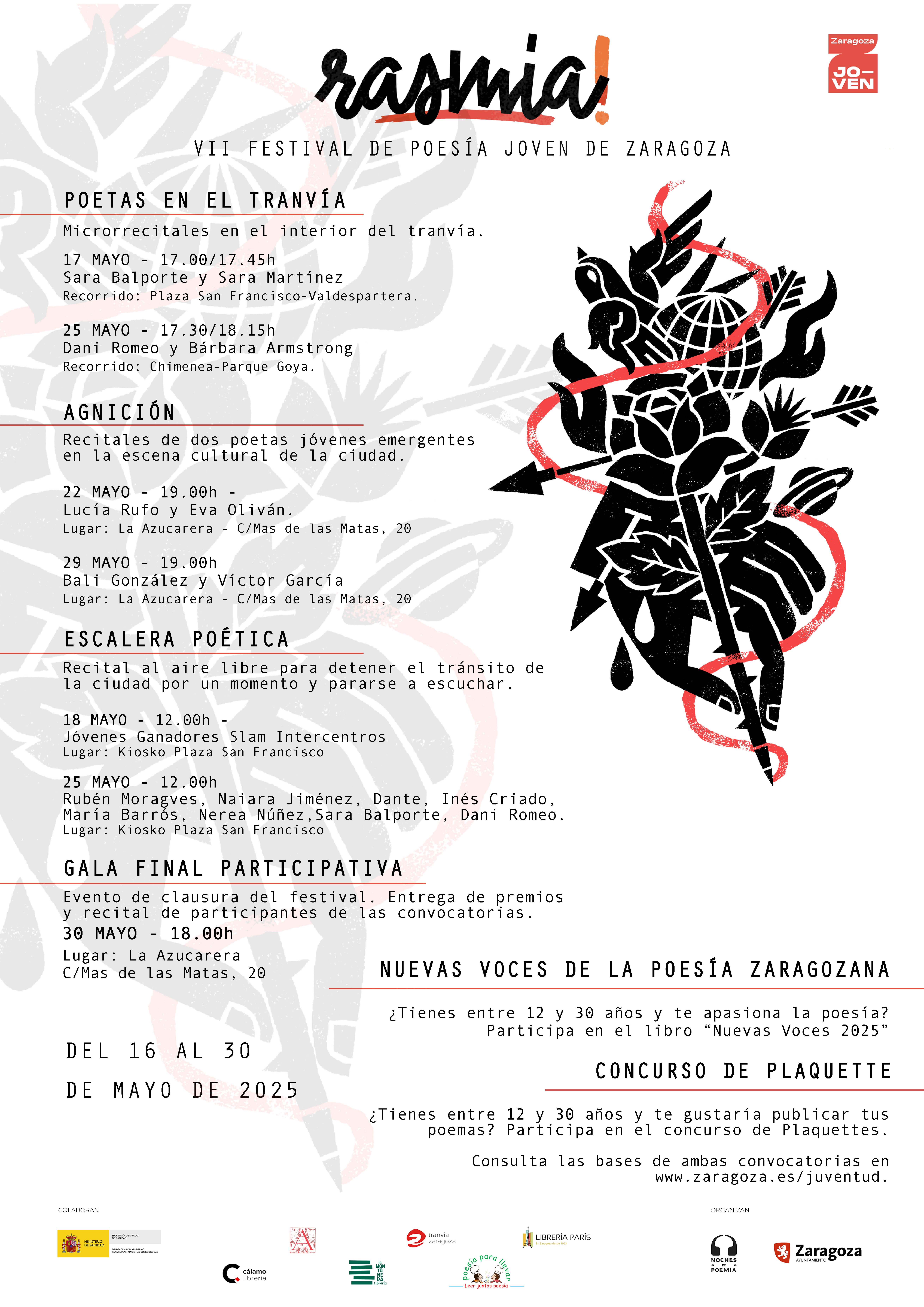 Pulsa para ver la imagen en grande