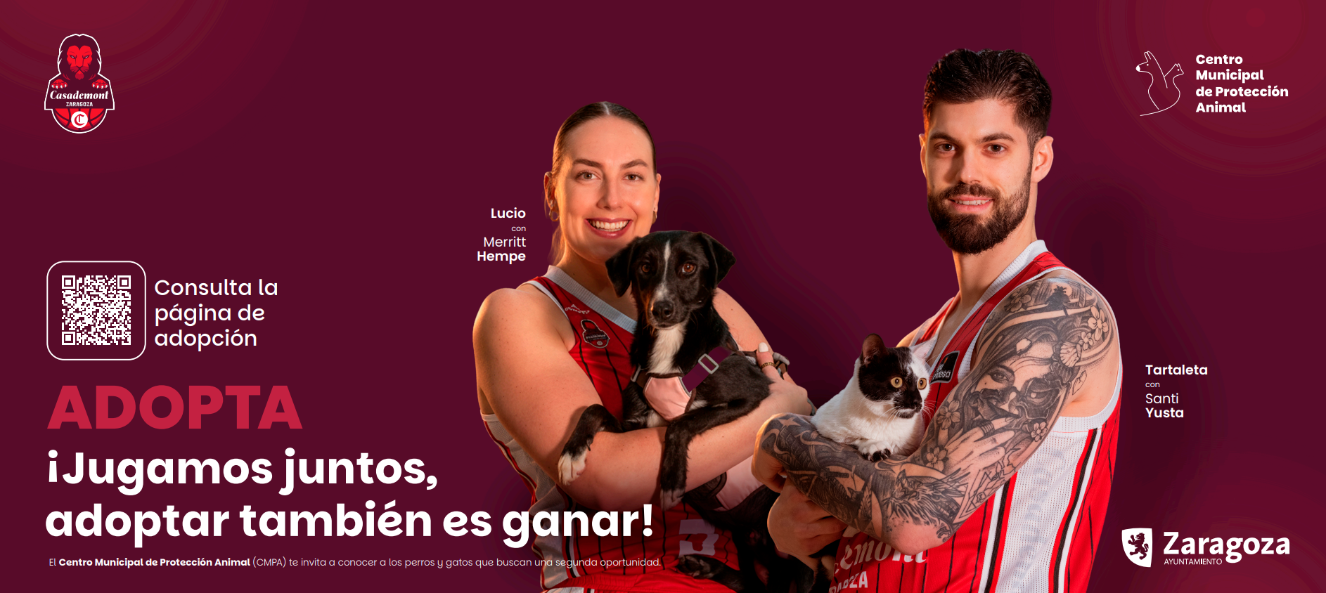 Pulsa para ver la imagen en grande