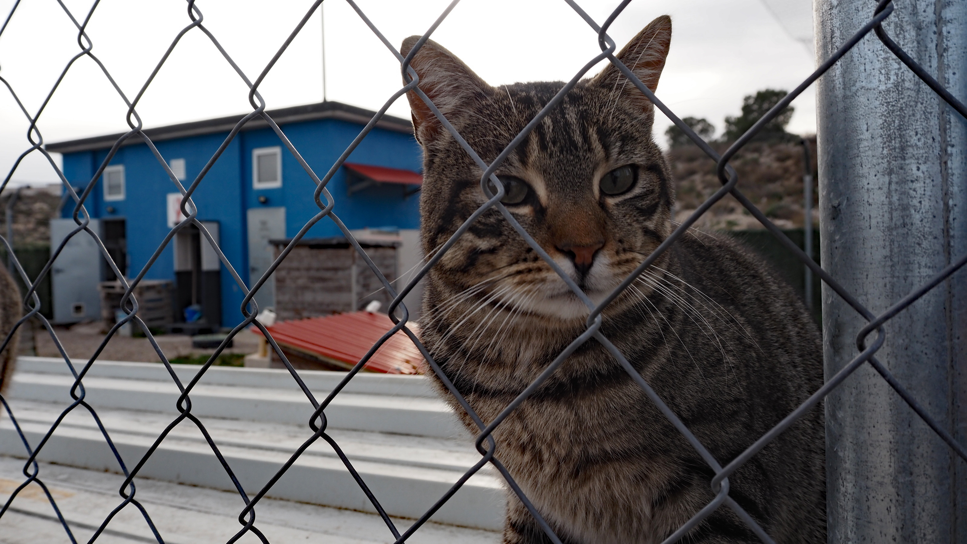 Pulsa para ver la imagen en grande