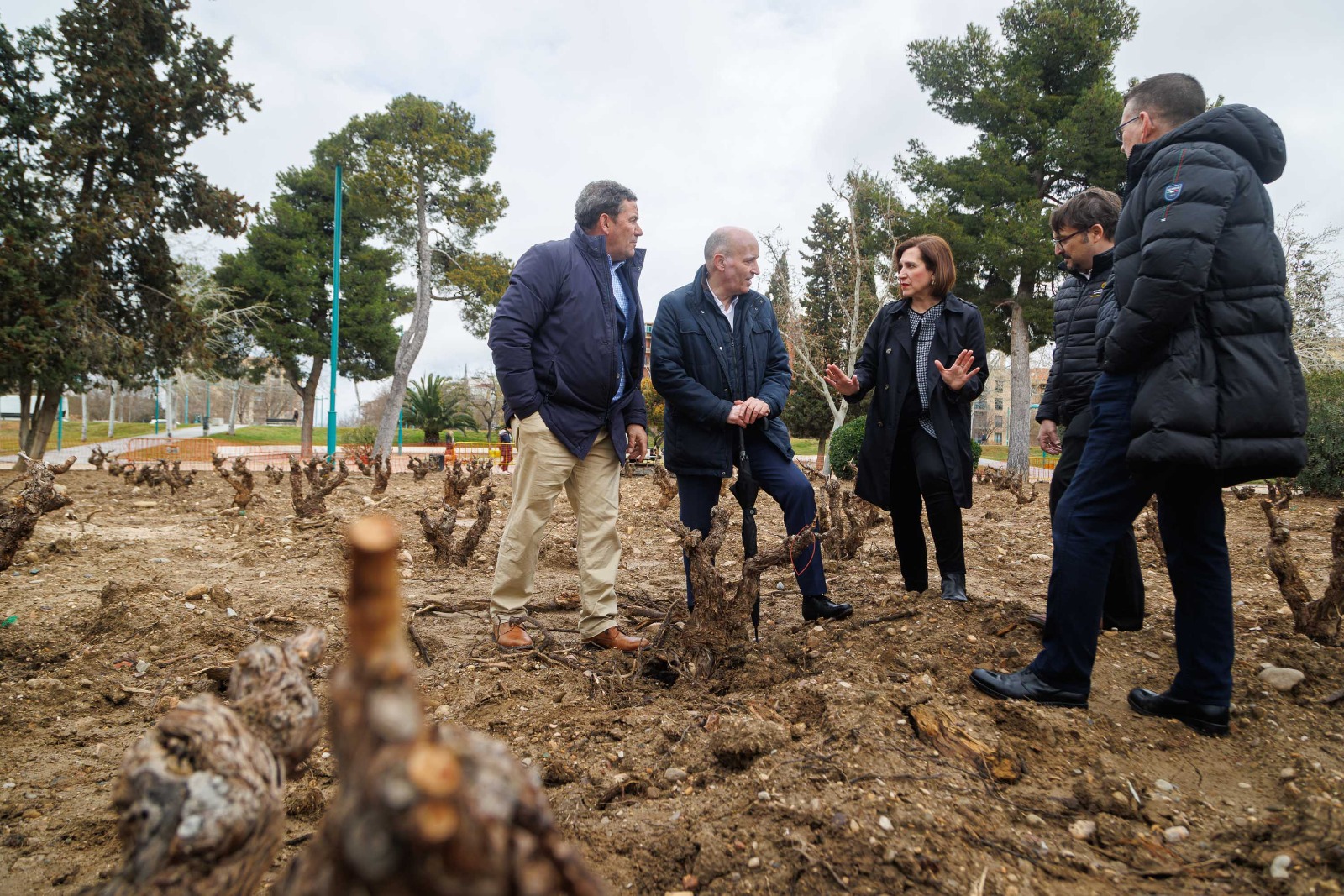 Pulsa para ver la imagen en grande