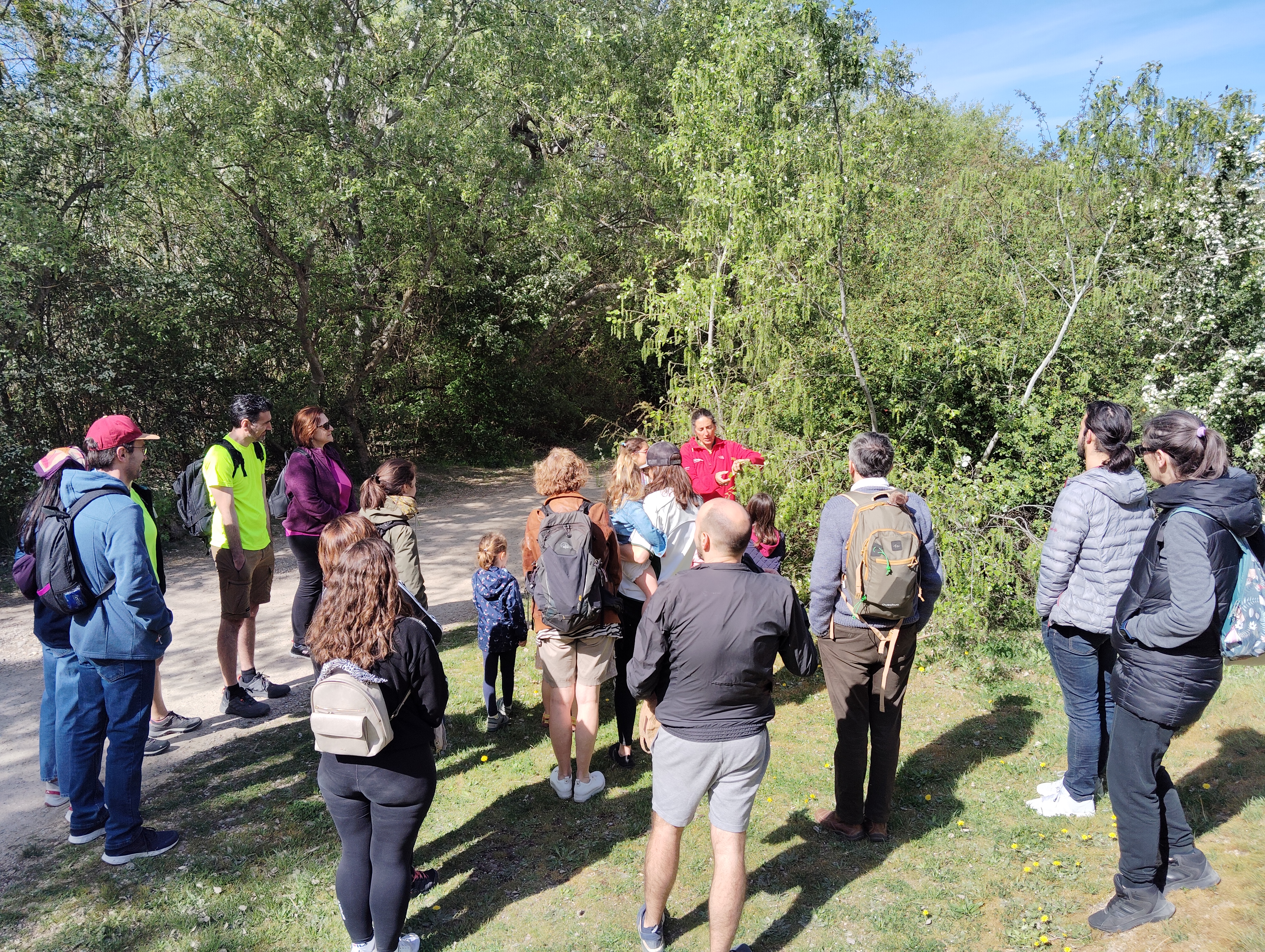 Pulsa para ver la imagen en grande