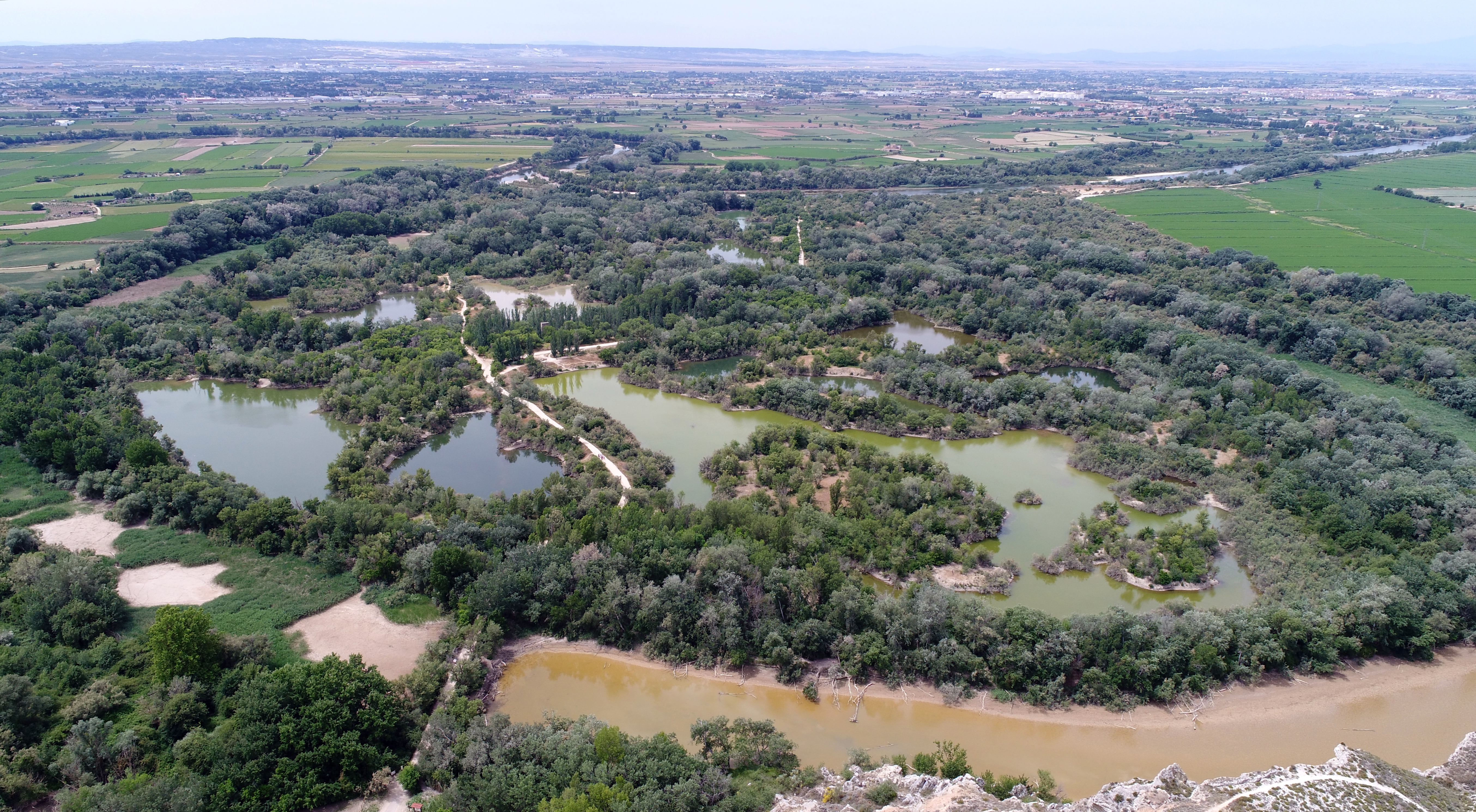 Pulsa para ver la imagen en grande