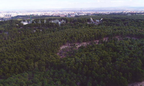 Pulsa para ver la imagen en grande