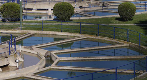 Pulsa para ver la imagen en grande