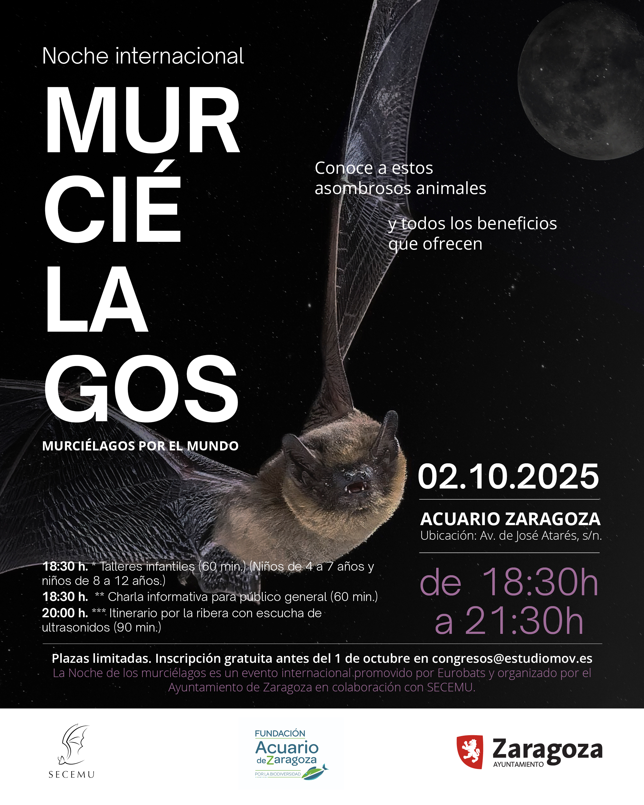 Pulsa para ver la imagen en grande