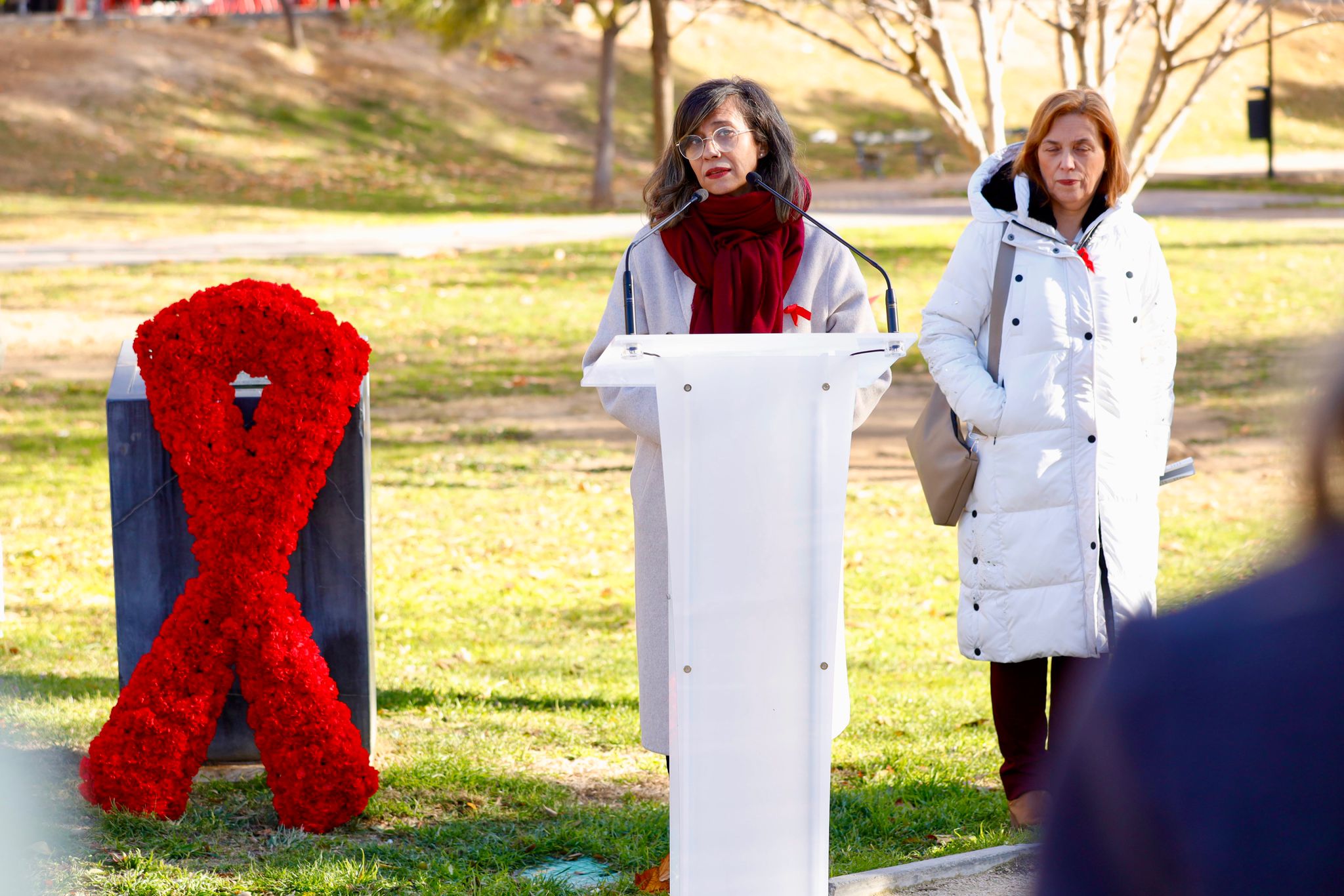 Pulsa para ver la imagen en grande