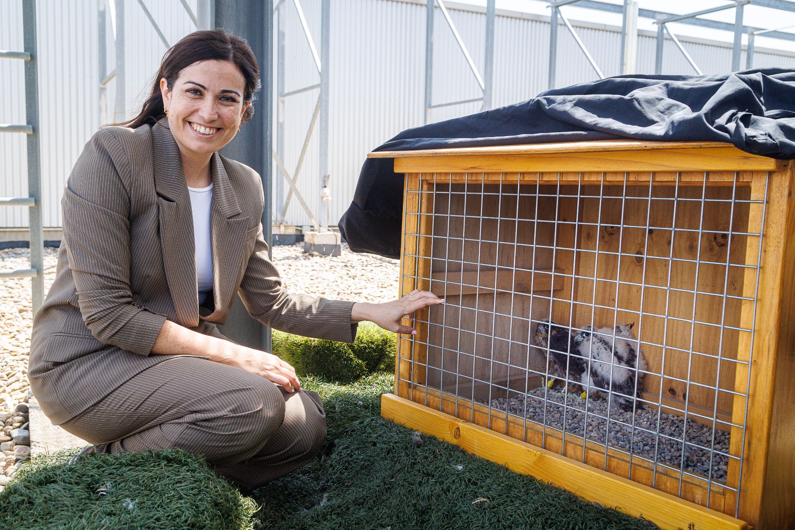 Pulsa para ver la imagen en grande