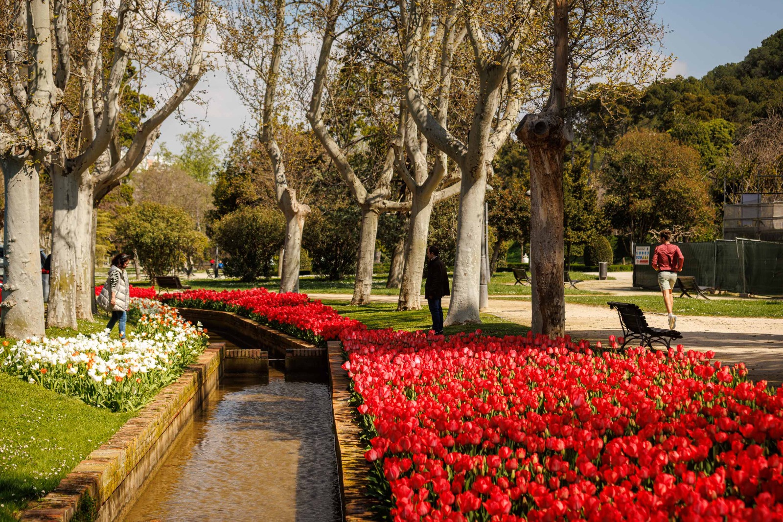 Pulsa para ver la imagen en grande