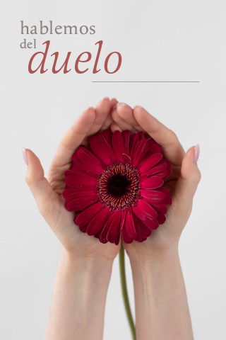 Pulsa para ver la imagen en grande