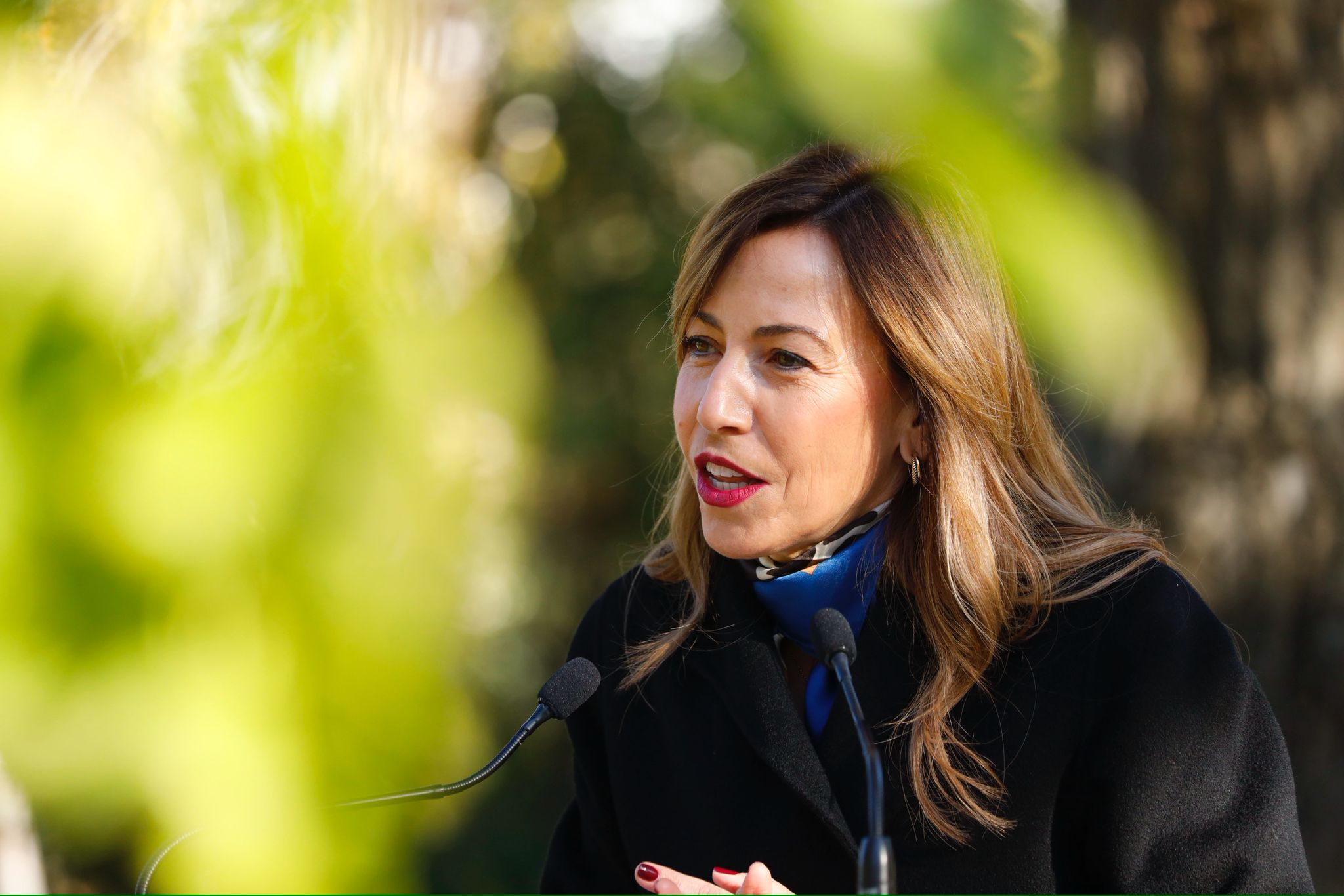 Pulsa para ver la imagen en grande