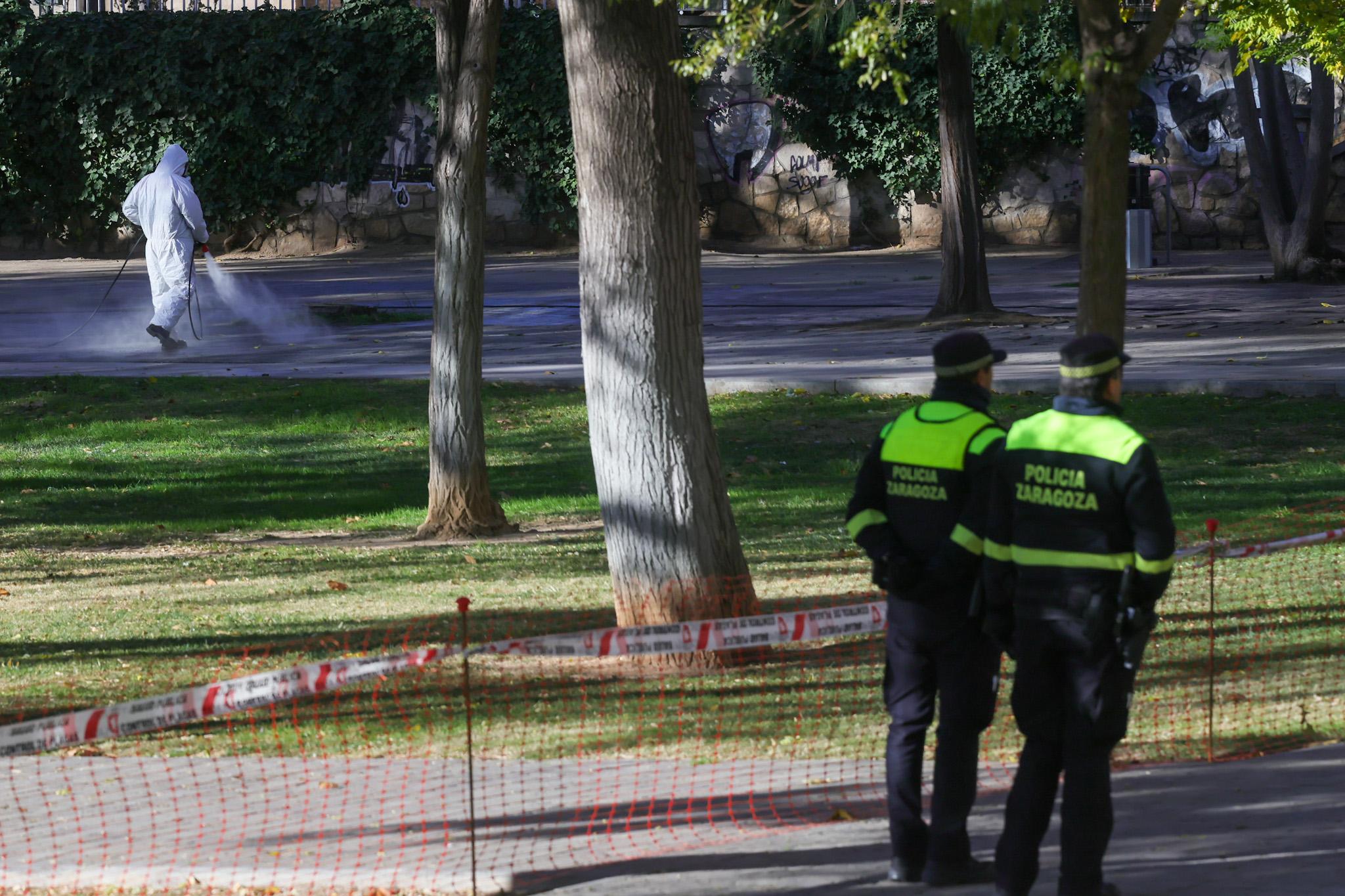 Pulsa para ver la imagen en grande