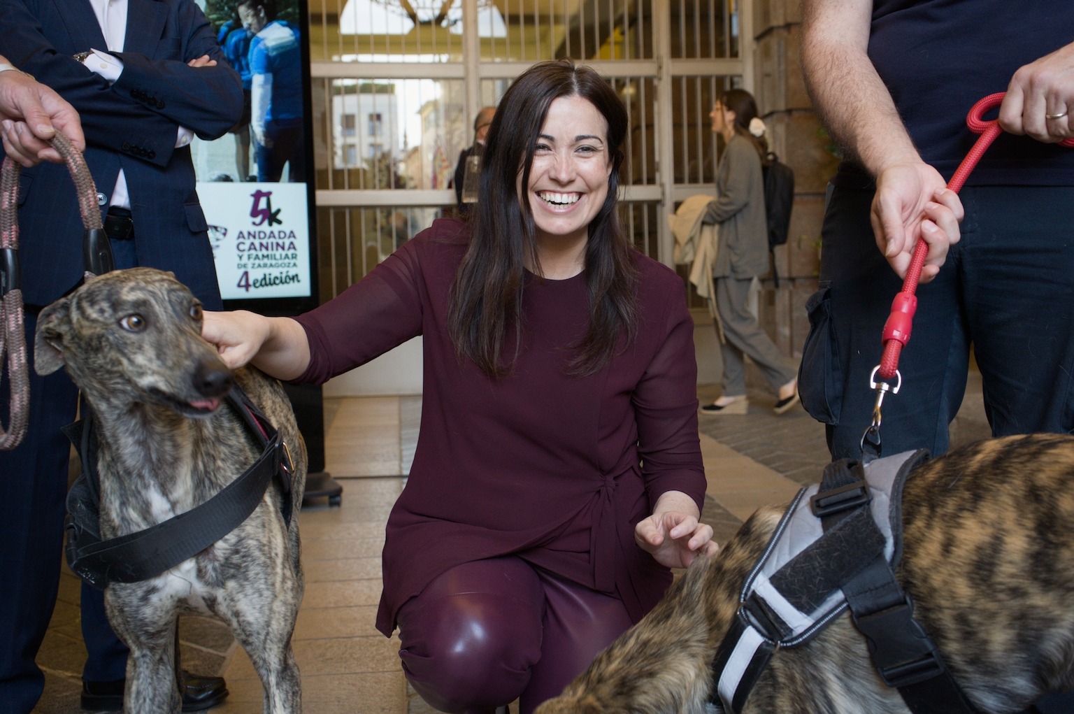 Pulsa para ver la imagen en grande