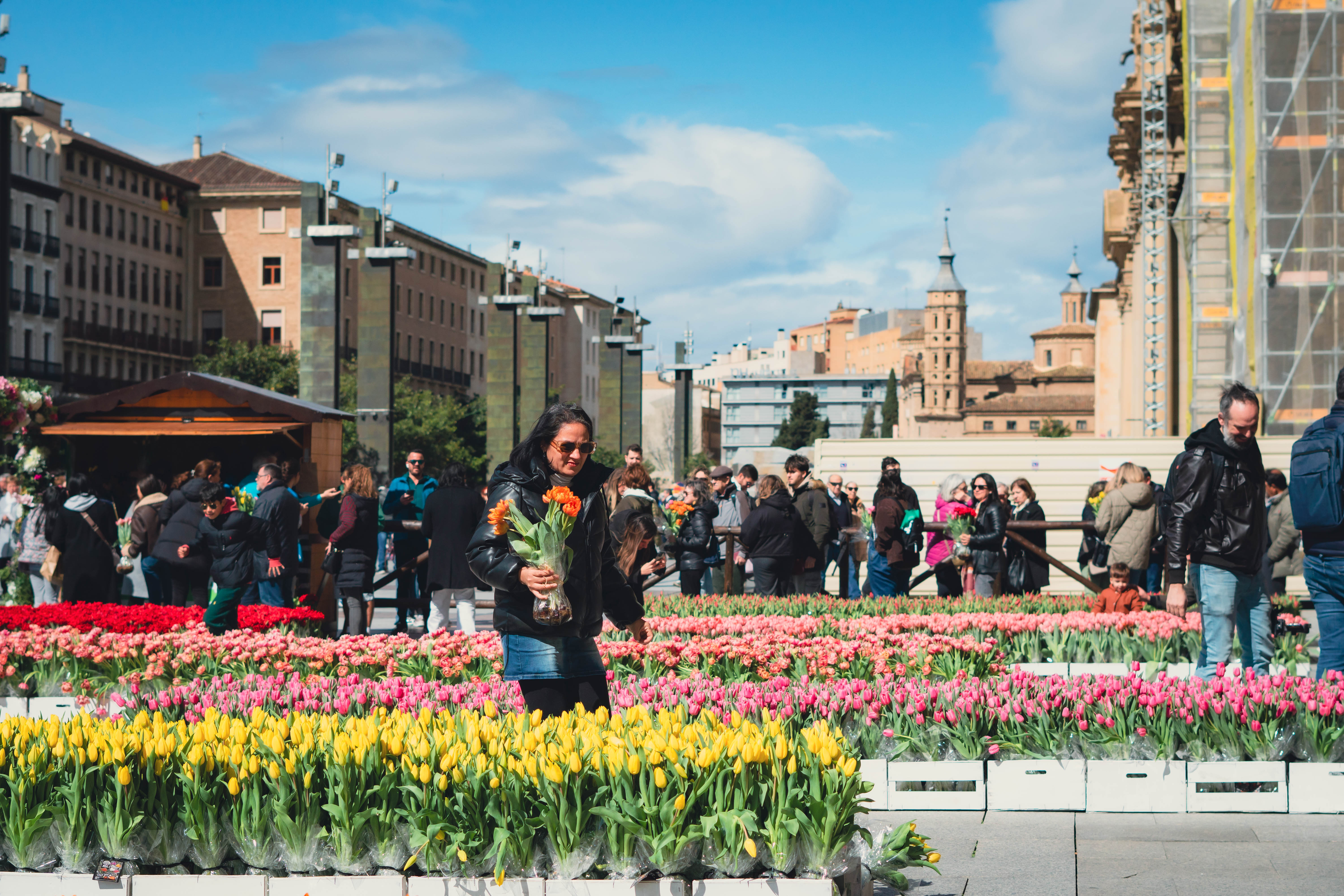 Pulsa para ver la imagen en grande