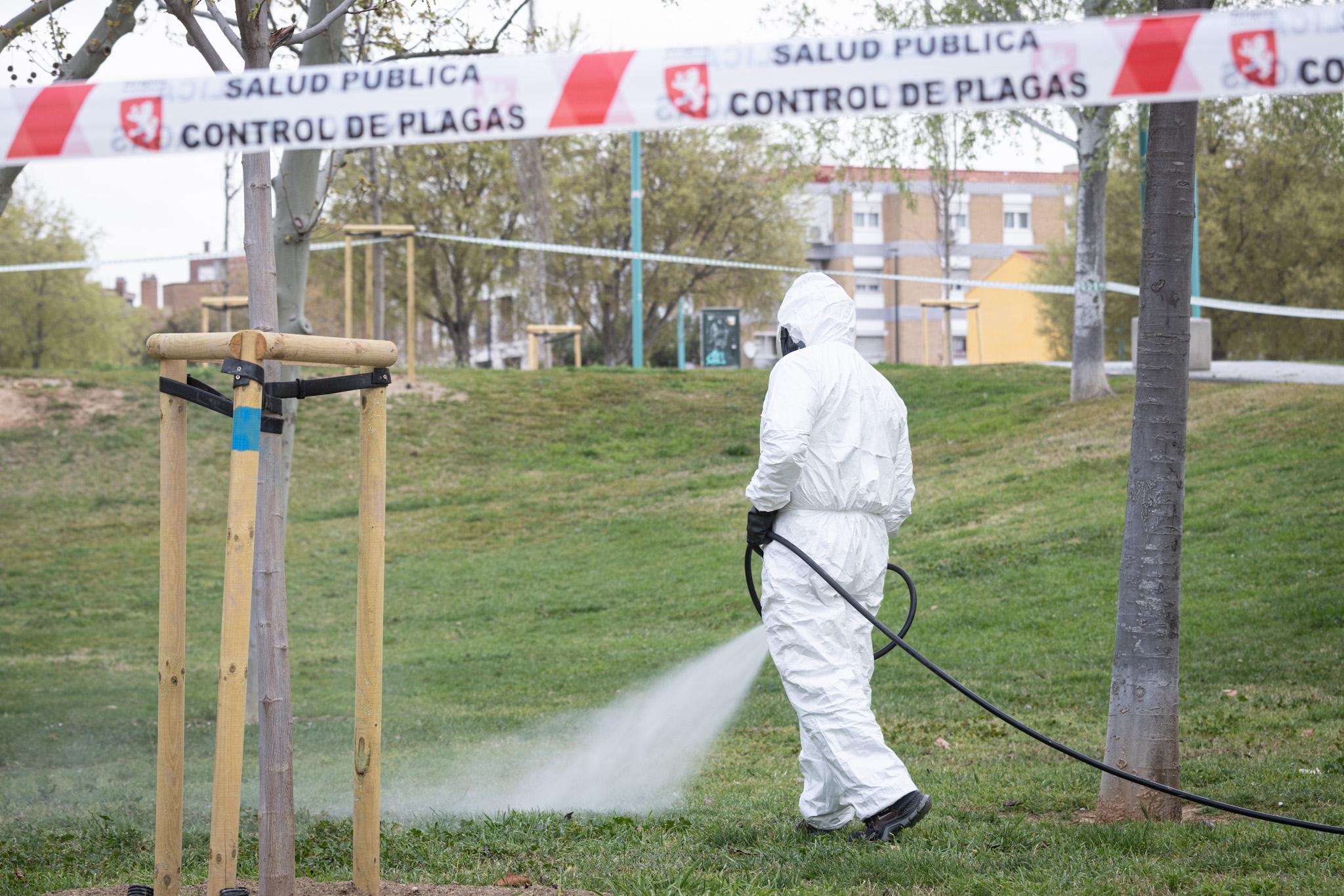 Pulsa para ver la imagen en grande